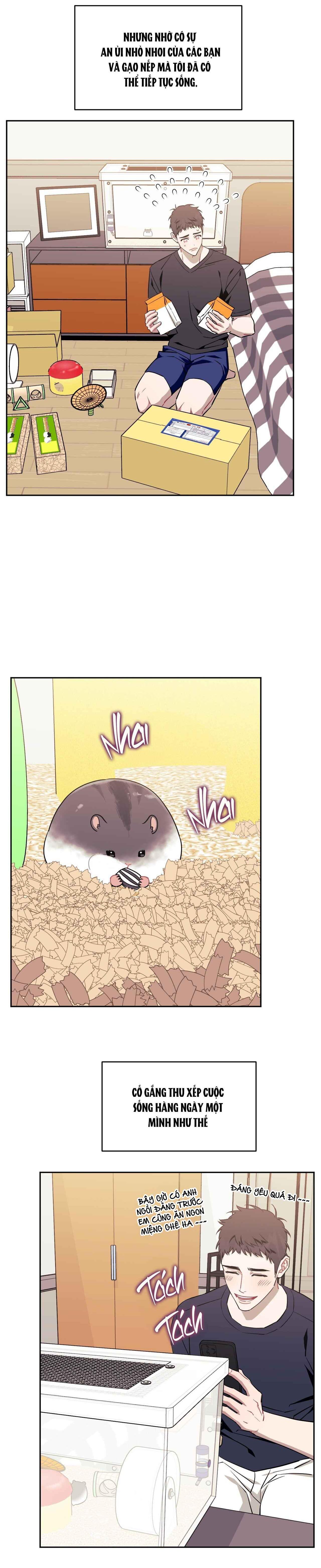 Đọc truyện HƠN CẢ BẠN BÈ - Chapter 101