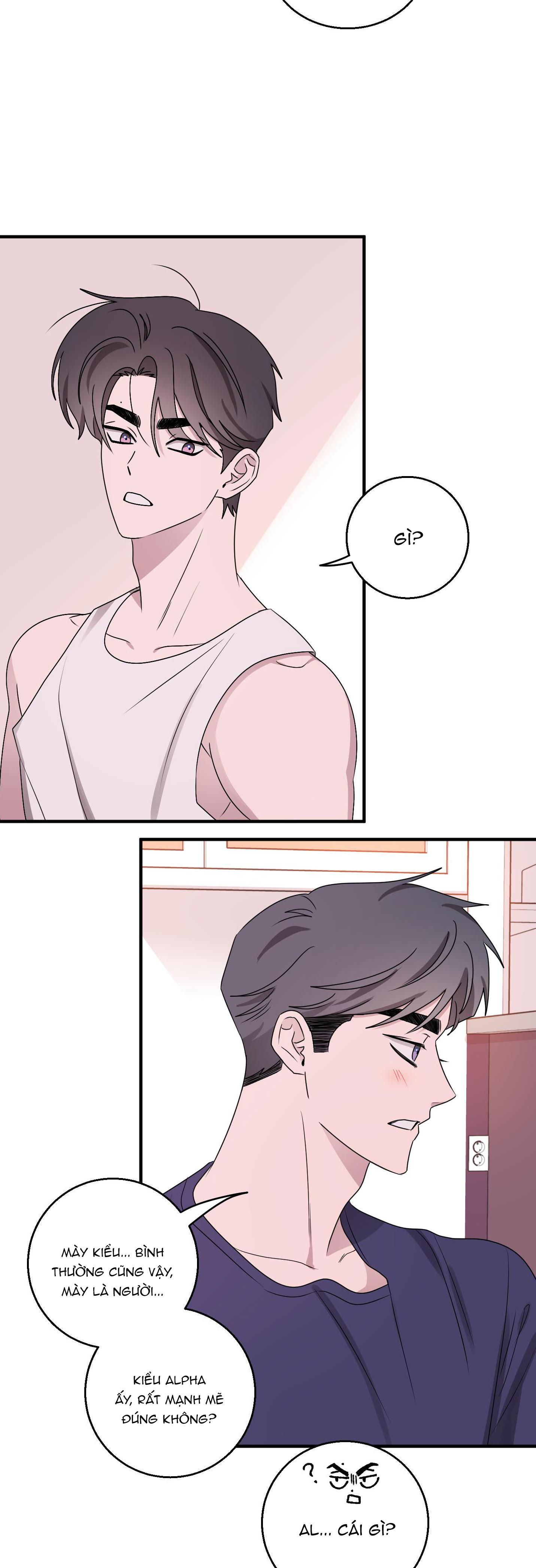 Đọc truyện CHUYỆN TÌNH ALPHA - Chapter 13