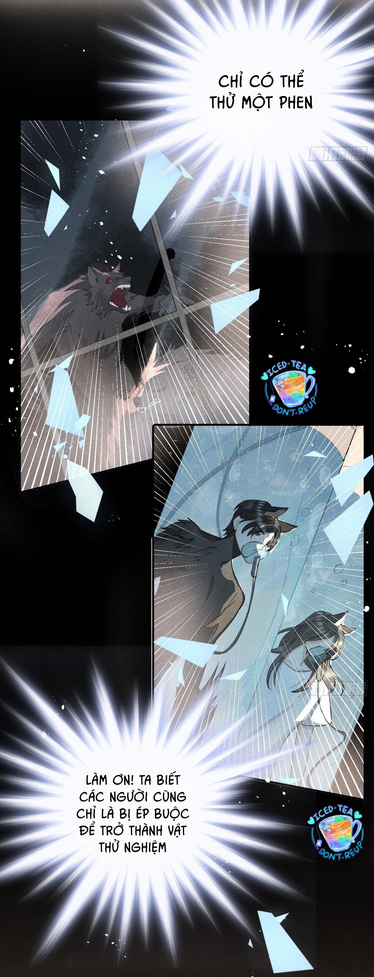 Đọc truyện Lang Sói Thượng Khẩu - Chapter 81