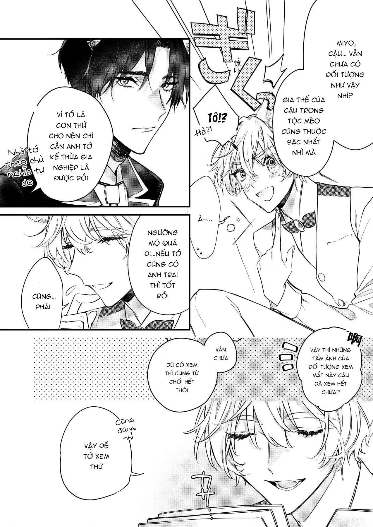 Đọc truyện Định Mệnh - Chapter 1