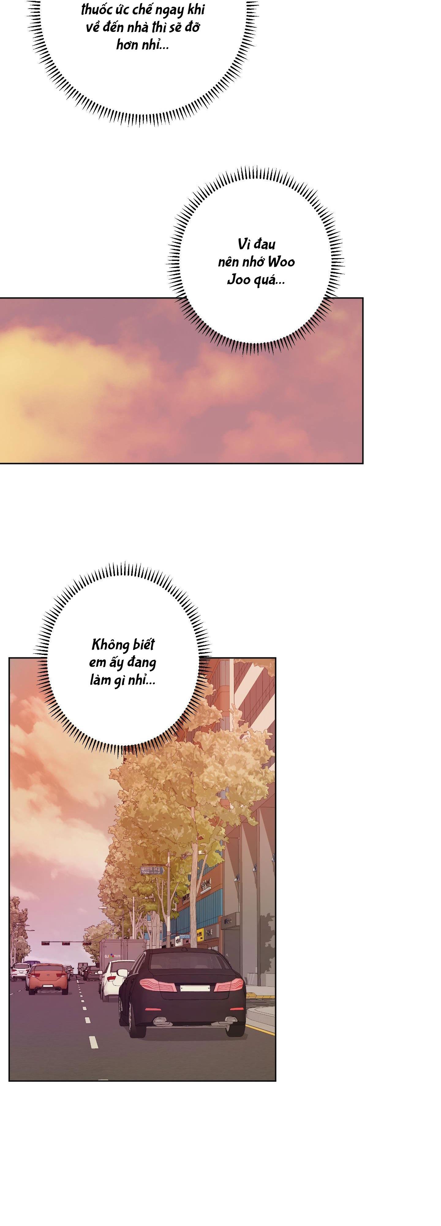 Đọc truyện  Đầm Sen Héo Úa - Chapter 21
