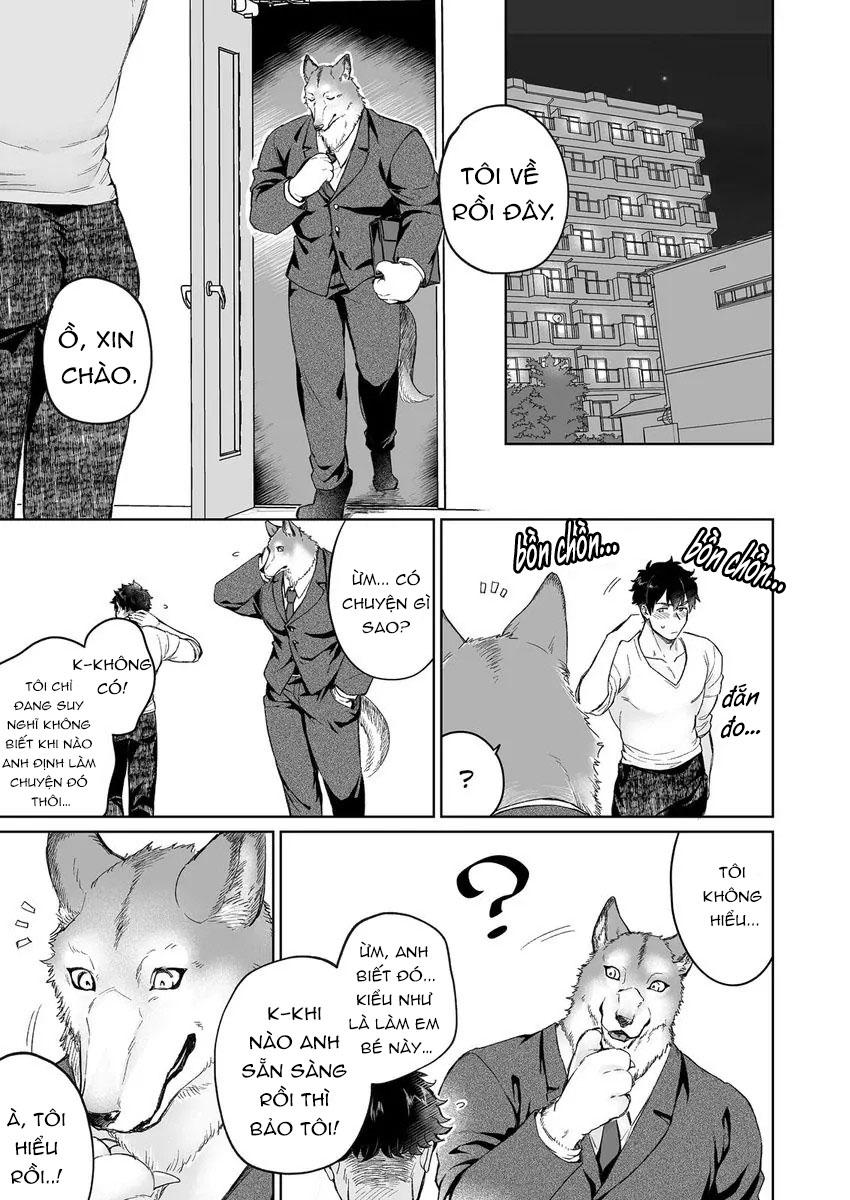 Đọc truyện Chồng sói chẳng chịu ngủ cùng tôi - Chapter 1