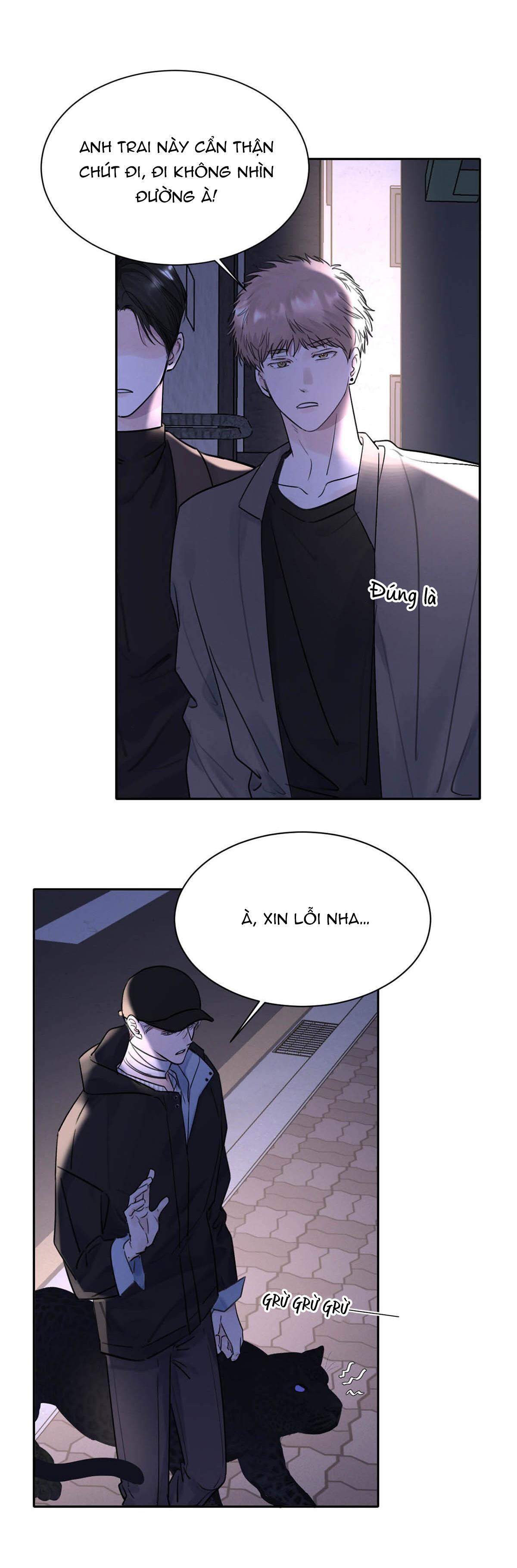 Đọc truyện Tôi Trở Thành Dẫn Đường Đỉnh Cấp Nhờ Trúc Mã - Chapter 17