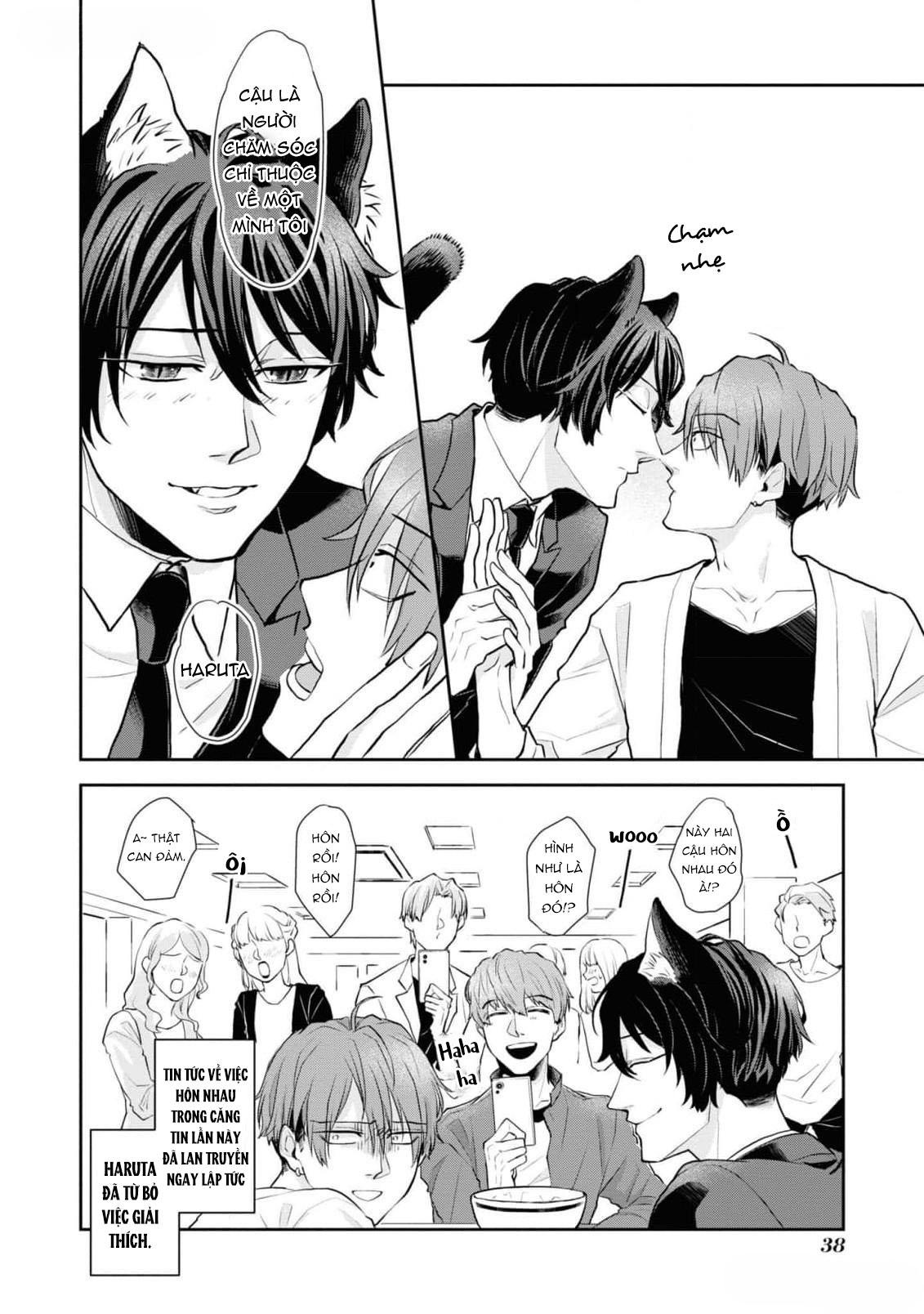 Đọc truyện Chú mèo đẹp trai muốn được Haruta nuôi dưỡng - Chapter 2