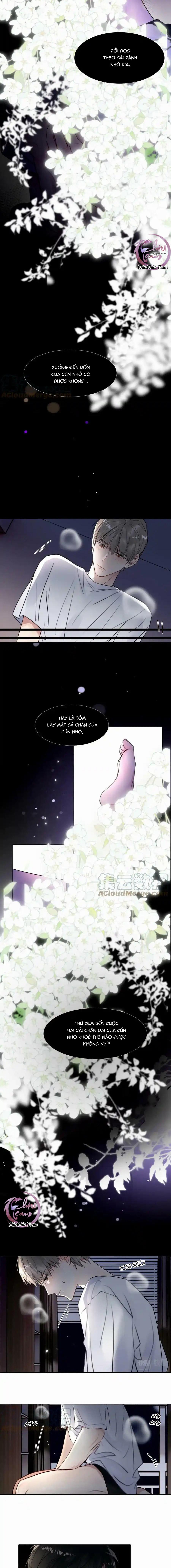 Đọc truyện Chó Chuộc Tội - Chapter 26