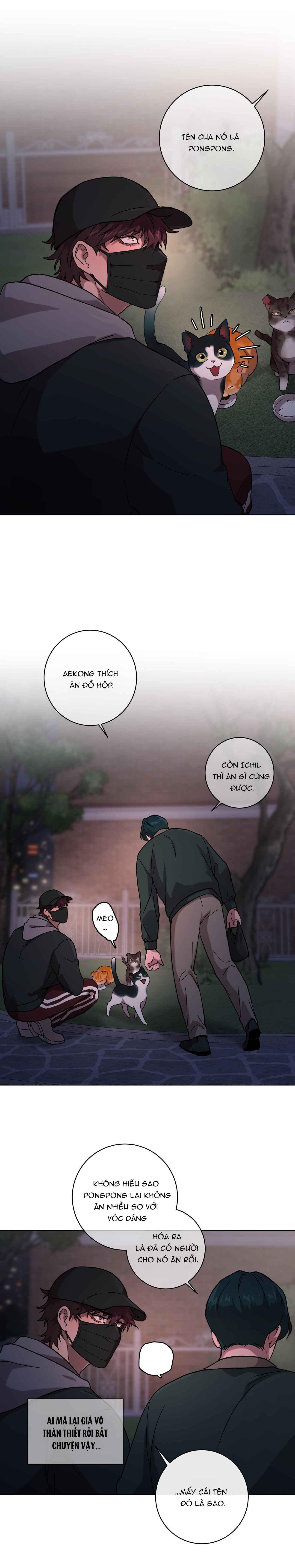 Đọc truyện RELEASE YOUR PERSONA - Chapter 1