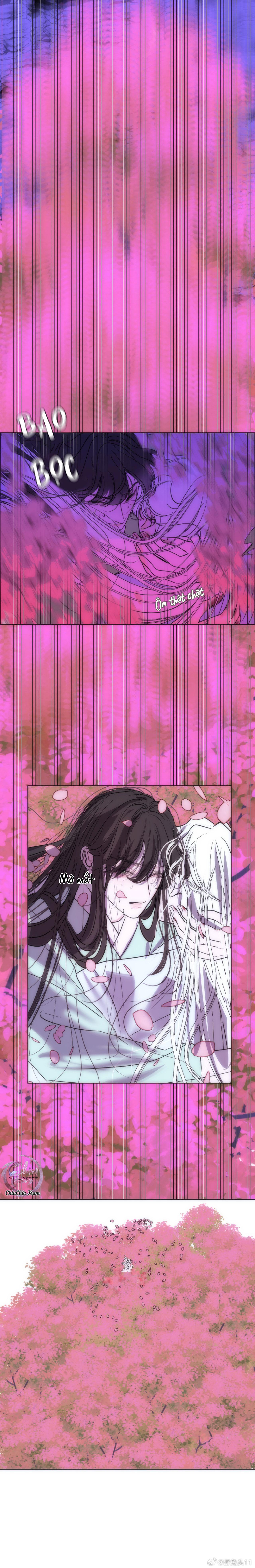 Đọc truyện Vài Câu Chuyện Với Sư Tôn Sau Khi Xuyên Sách - Chapter 41