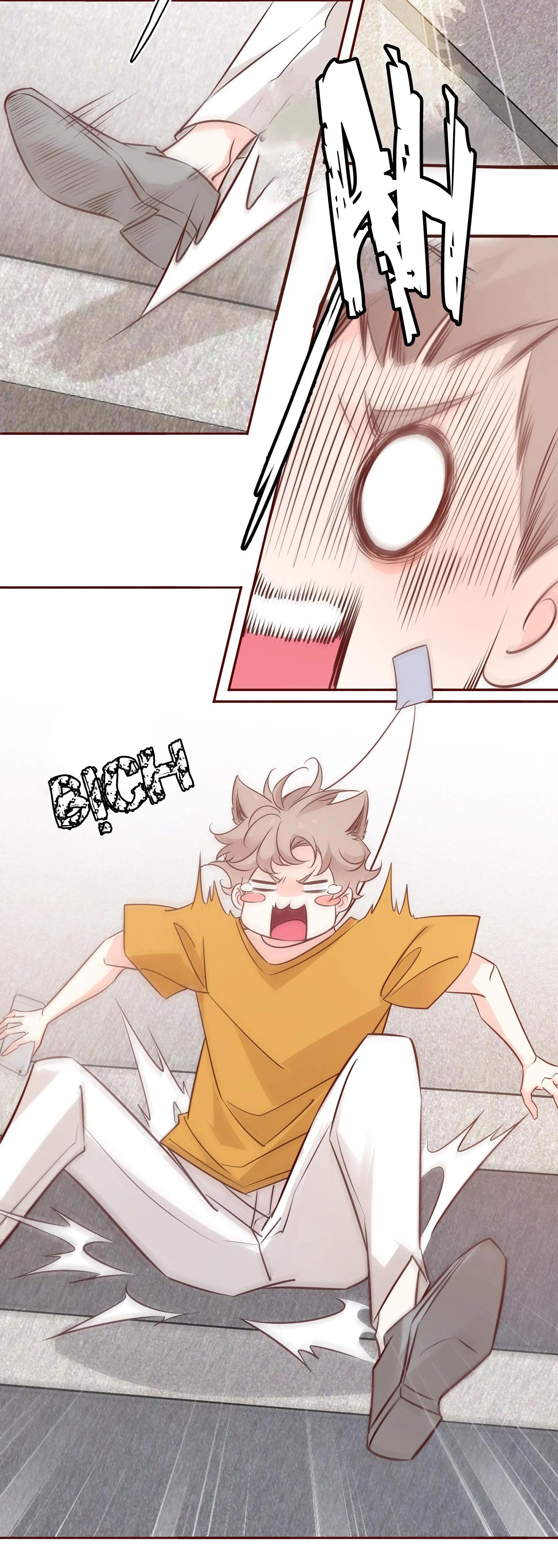 Đọc truyện Yêu Em Bất Chấp - Chapter 5