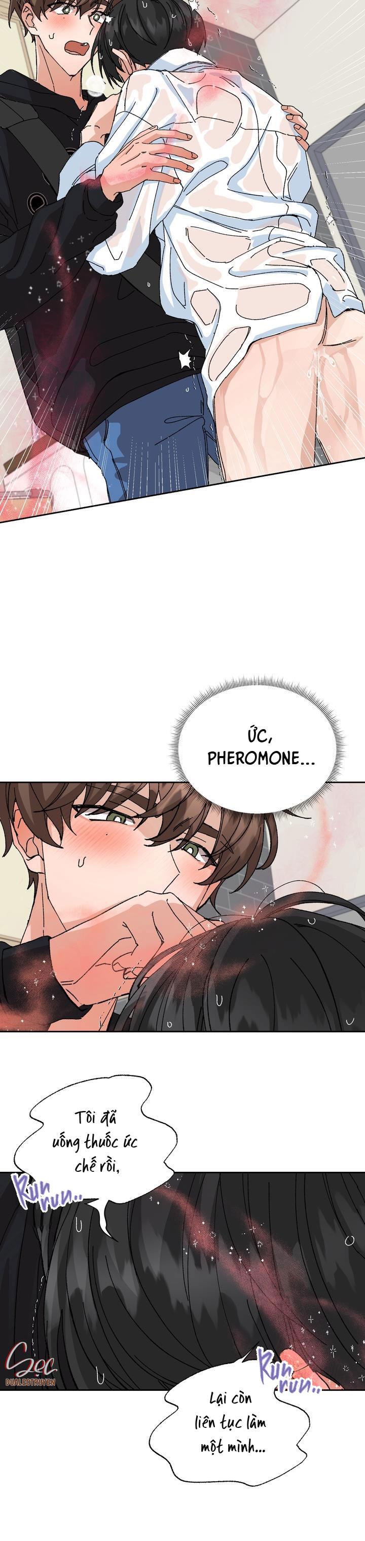 Đọc truyện ĐẶC QUYỀN CHO CẶP ĐÔI MỚI CƯỚI - Chapter 6