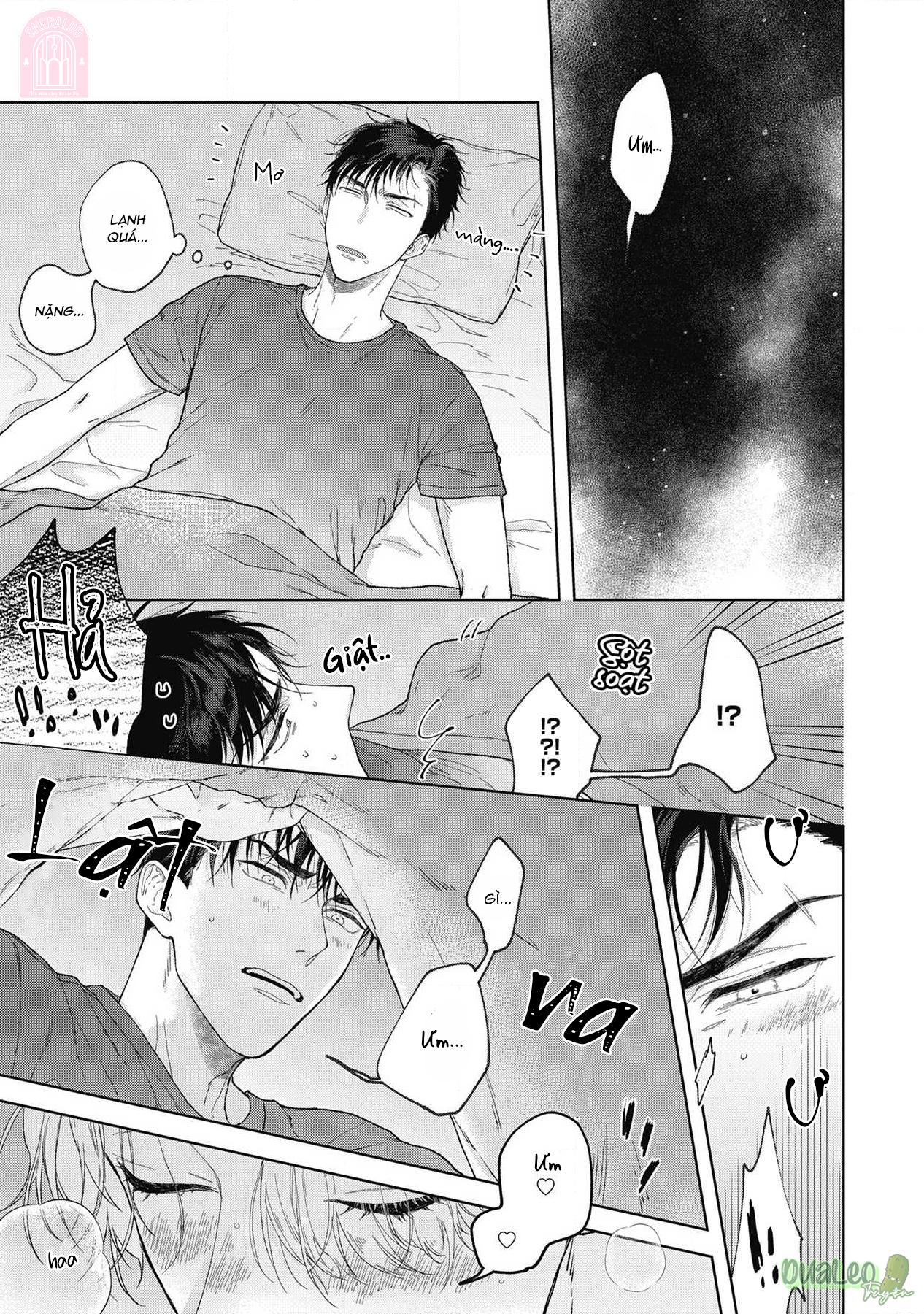 Đọc truyện Mèo nghiện cỏ còn em thì nghiện anh - Chapter 1