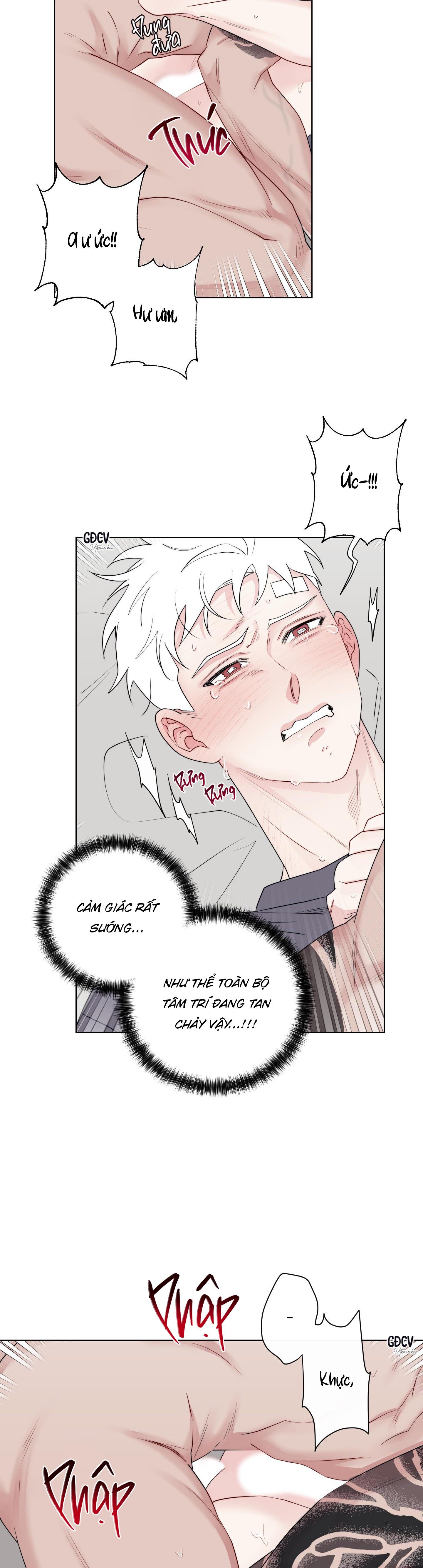 Đọc truyện Dính chặt mất rồi!!! - Chapter 10