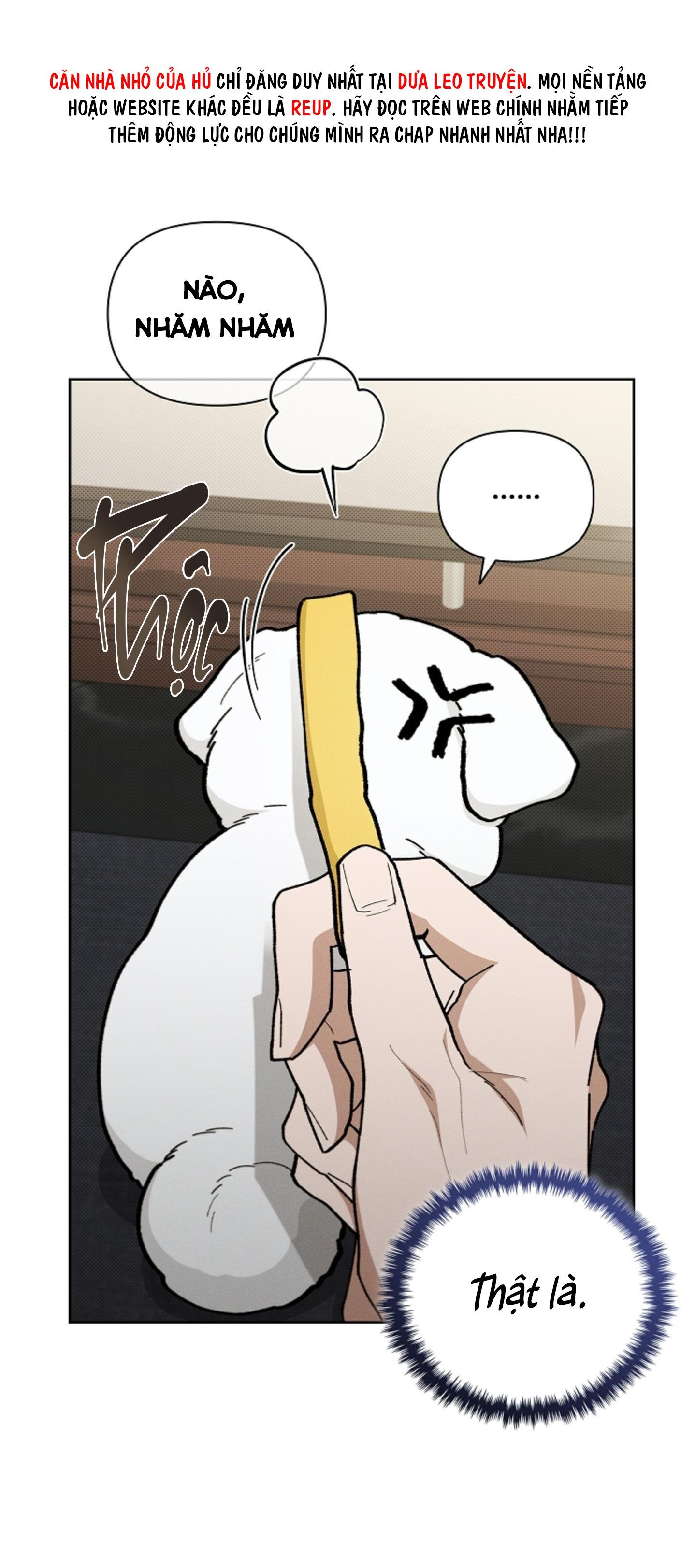 Đọc truyện ĐỪNG ĐỤNG VÀO BÉ CÚN - Chapter 4