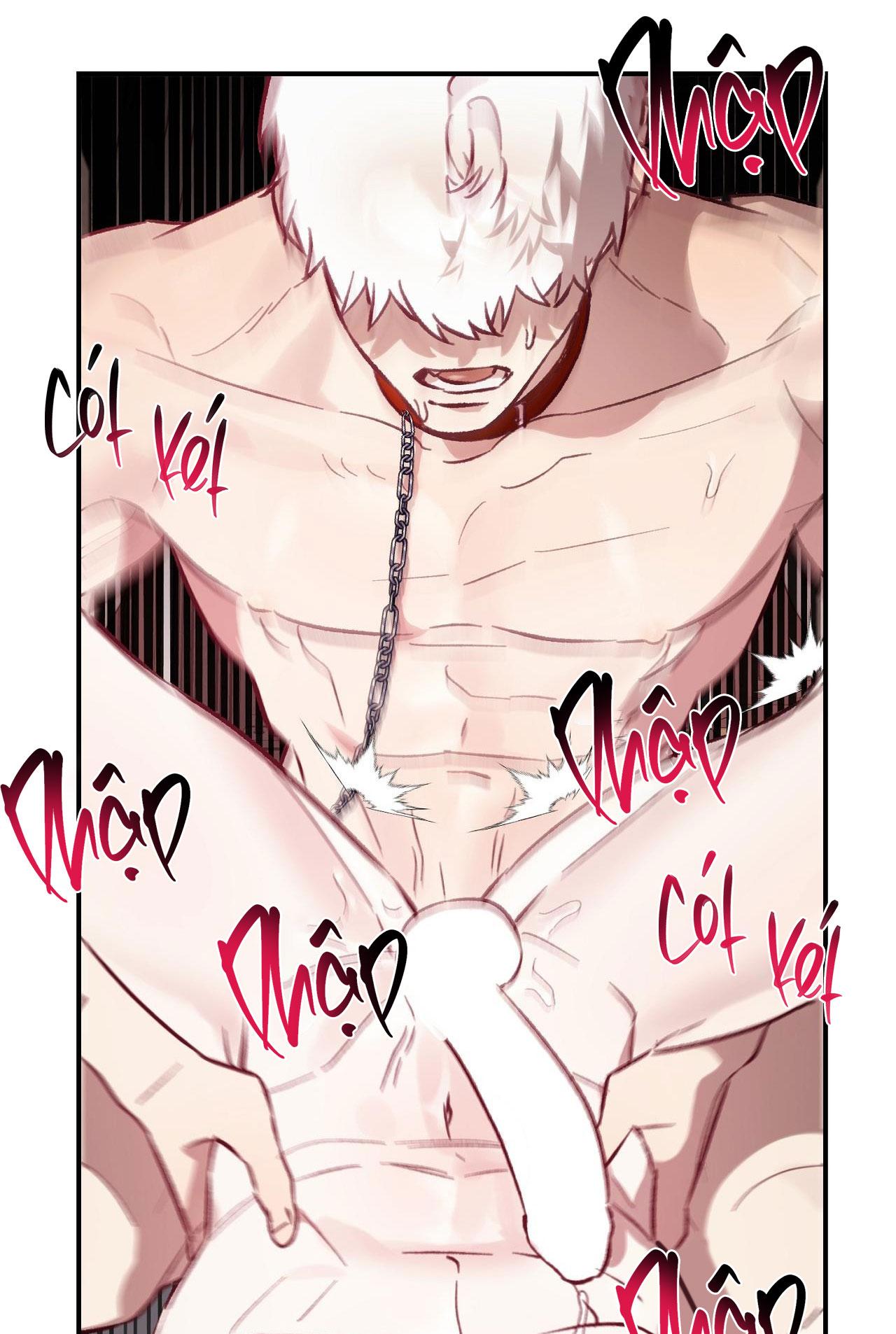 Đọc truyện SÓI TRONG LỒNG - Chapter 24