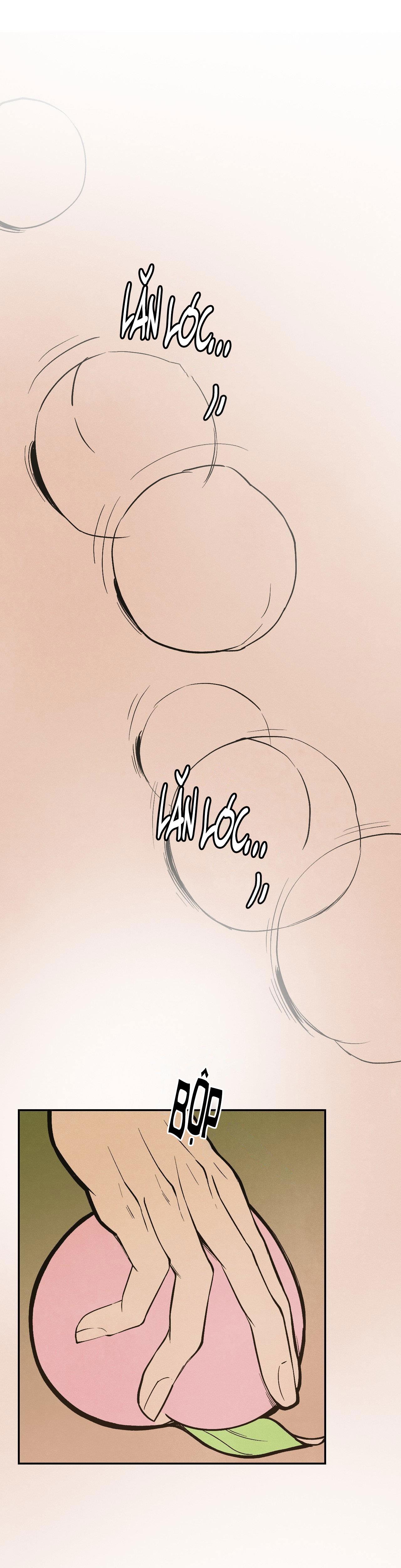 Đọc truyện CẬU BÉ ĐÀO - Chapter 24