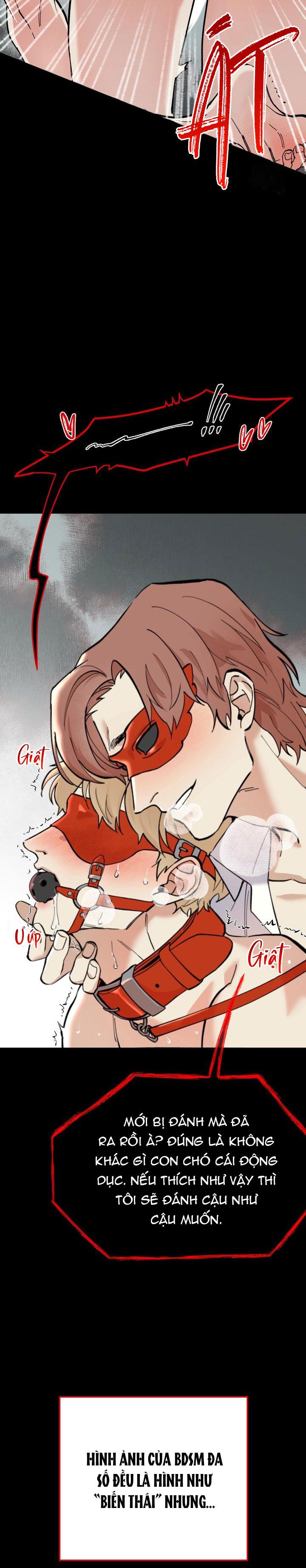 Đọc truyện HƯỚNG DẪN BDSM CƠ BẢN - Chapter 1