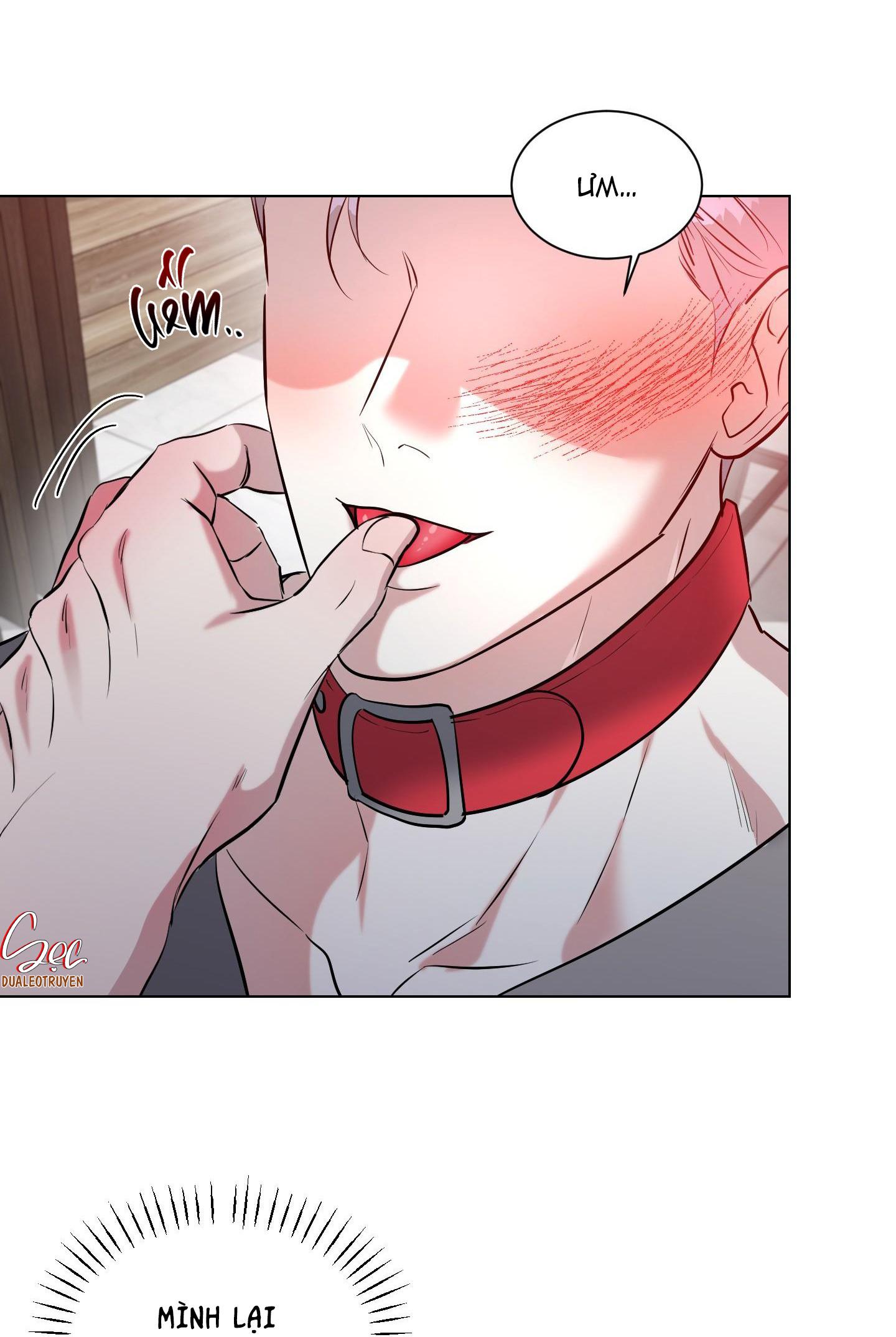 Đọc truyện VỰC RẮN - Chapter 13