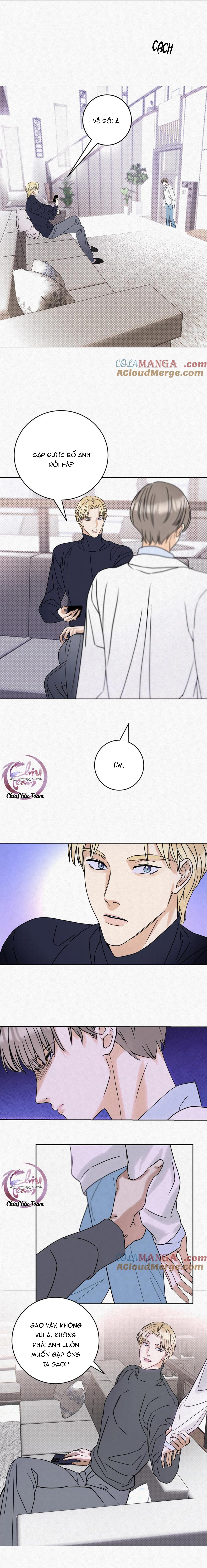 Đọc truyện Anh Trai Rẻ Tiền Của Tôi (END) - Chapter 15