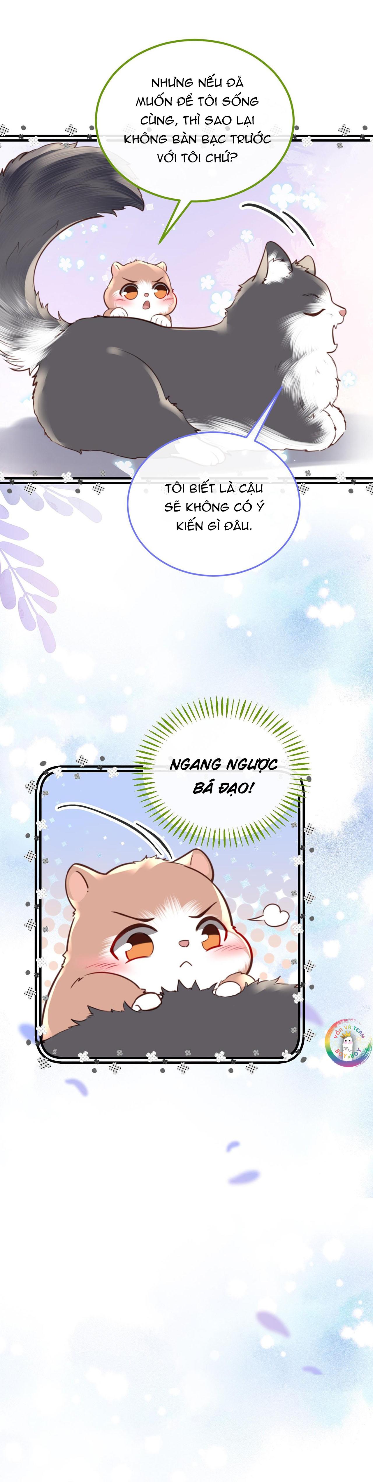 Đọc truyện (END) Đặc Chế Cho Riêng Anh - Chapter 80