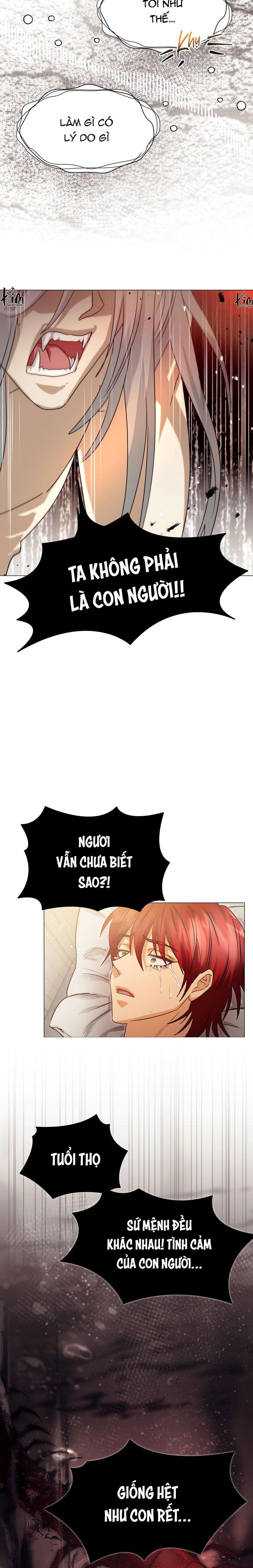 Đọc truyện TẾ PHẨM THẦN NÚI - Chapter 19