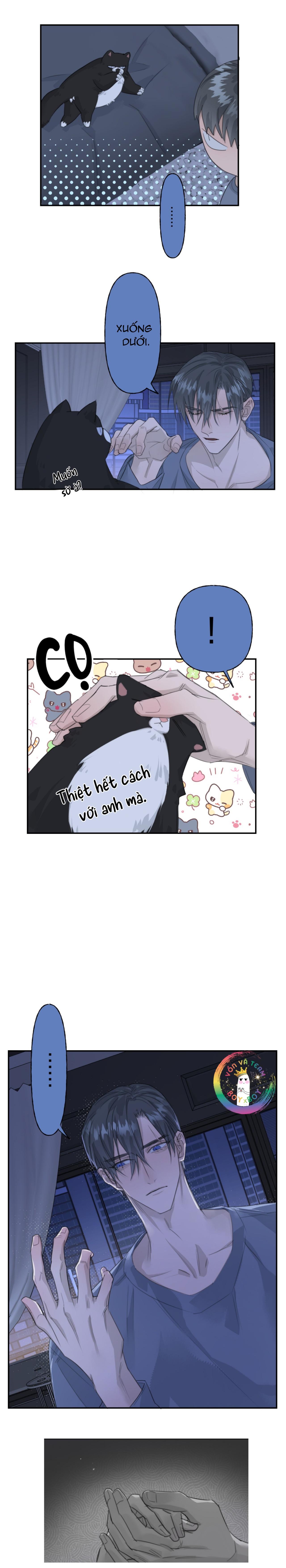 Đọc truyện (END) Chiến Lược Dụ Dỗ - Chapter 6