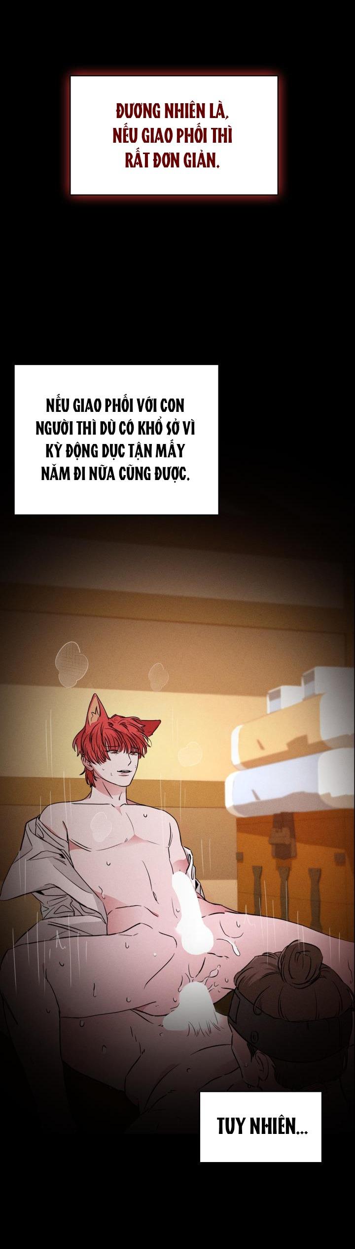Đọc truyện SĂN CÁO - Chapter 3