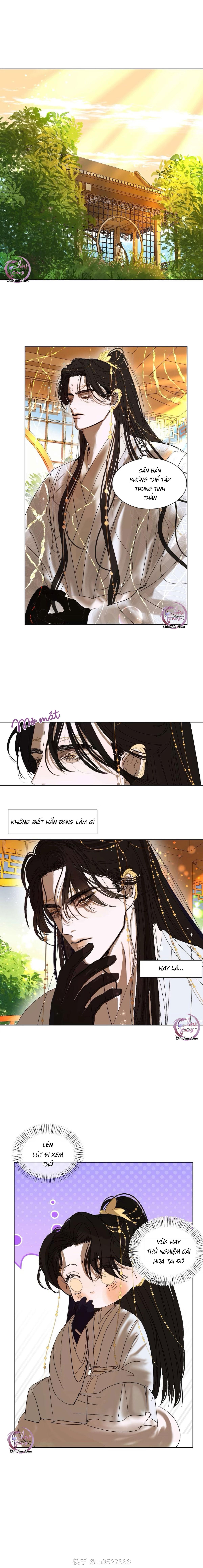 Đọc truyện Vài Câu Chuyện Với Sư Tôn Sau Khi Xuyên Sách - Chapter 50