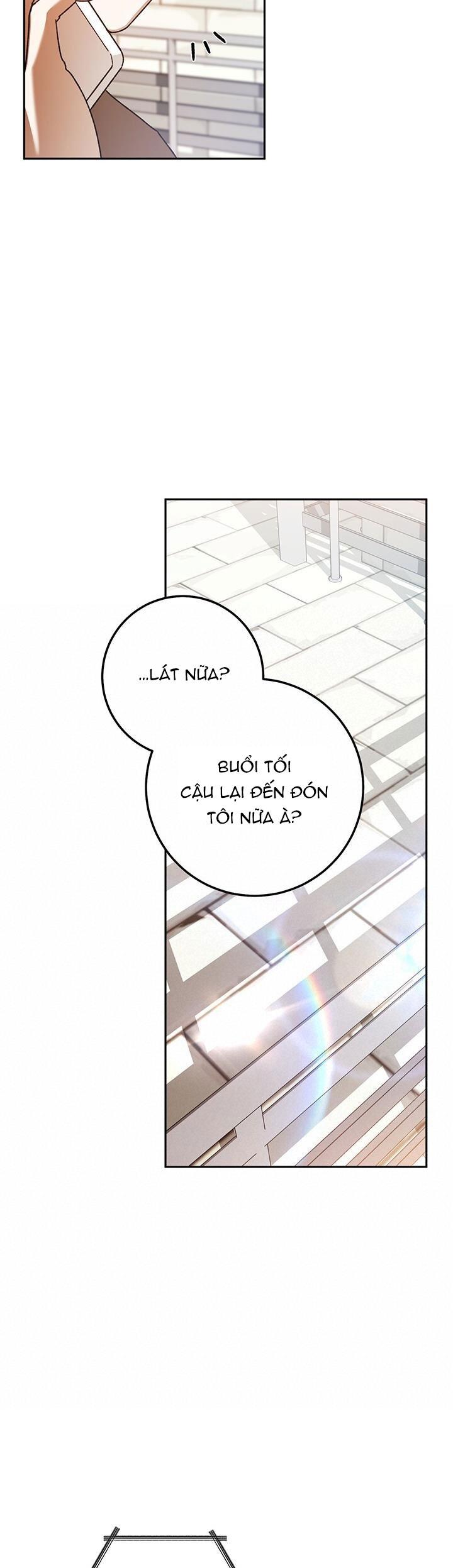 Đọc truyện NETKAMA PUNCH!! - Chapter 70