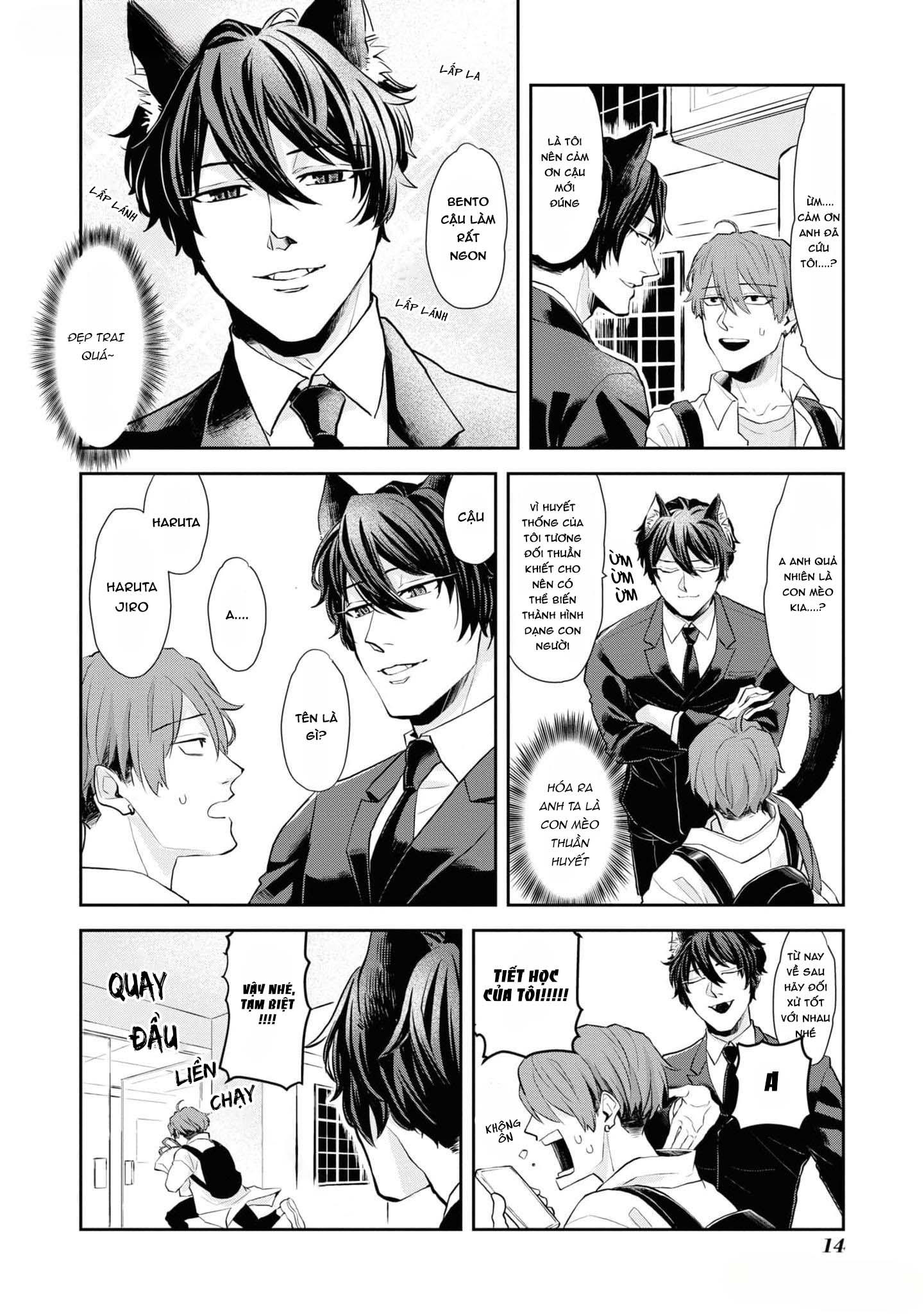 Đọc truyện Chú mèo đẹp trai muốn được Haruta nuôi dưỡng - Chapter 1