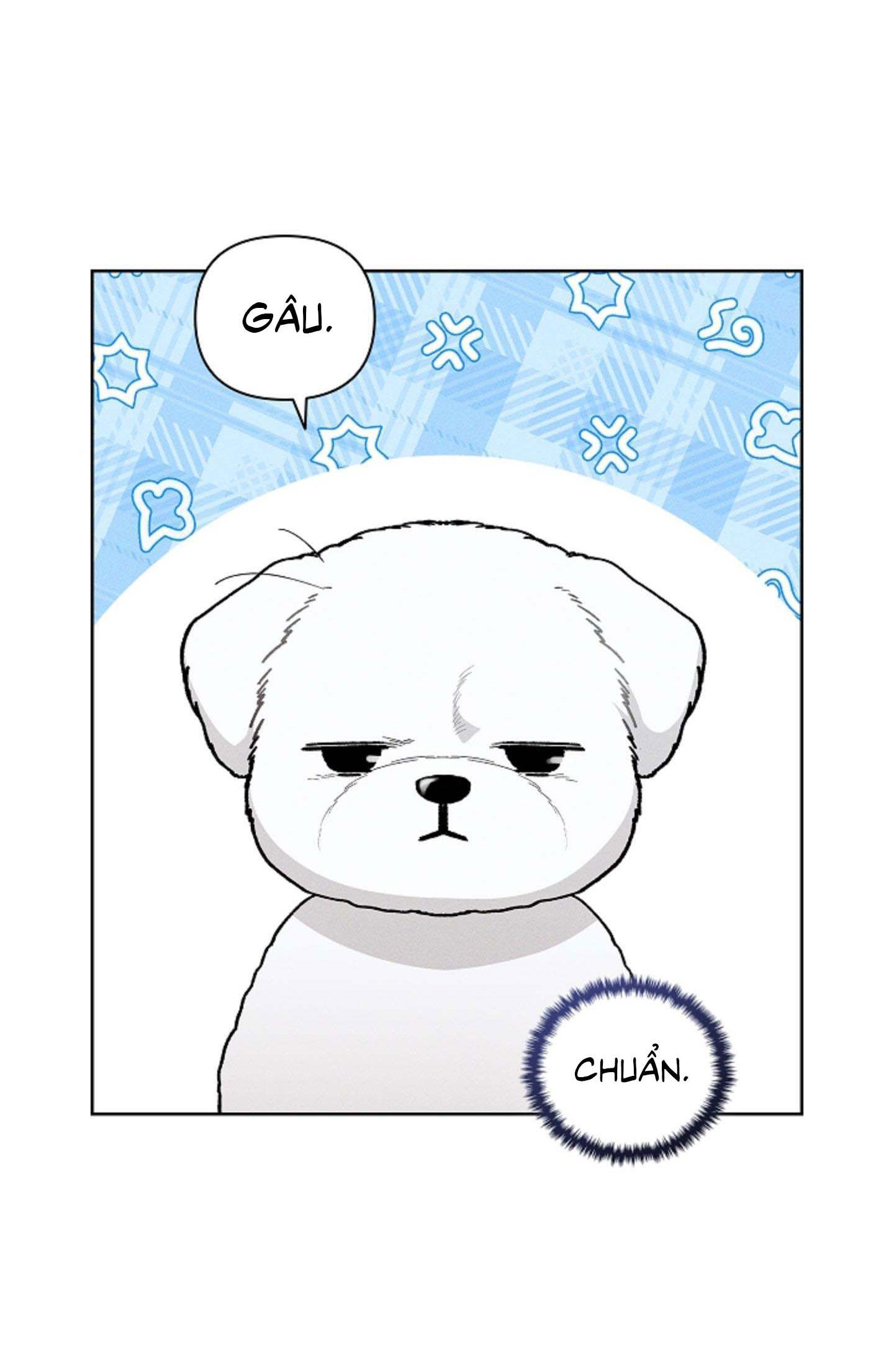 Đọc truyện ĐỪNG ĐỘNG VÀO CÚN CON! - Chapter 2