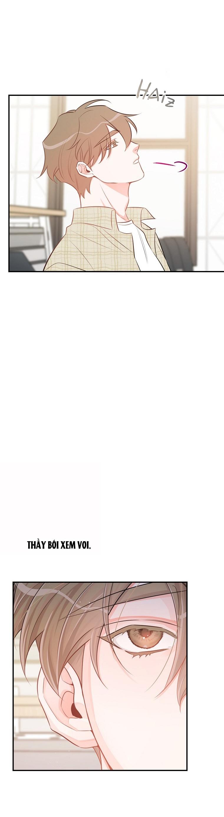 Đọc truyện Có Chuyện Gì Xảy Ra với Sự Nổi Tiếng Của Tôi Thế? - Chapter 52