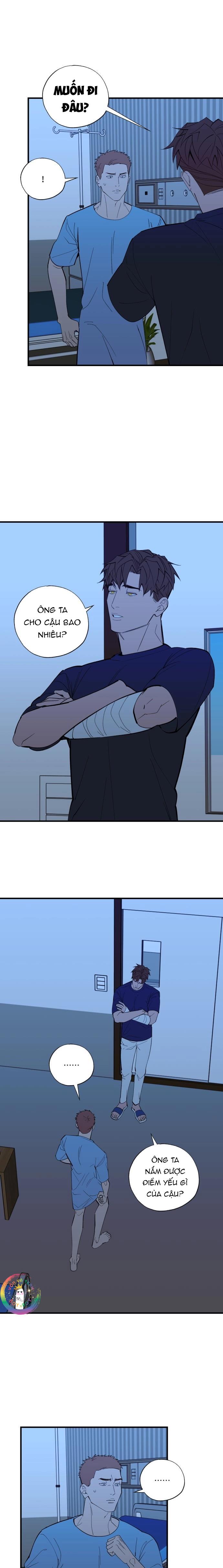 Đọc truyện PRY (Trộm Nhìn) -END - Chapter 42