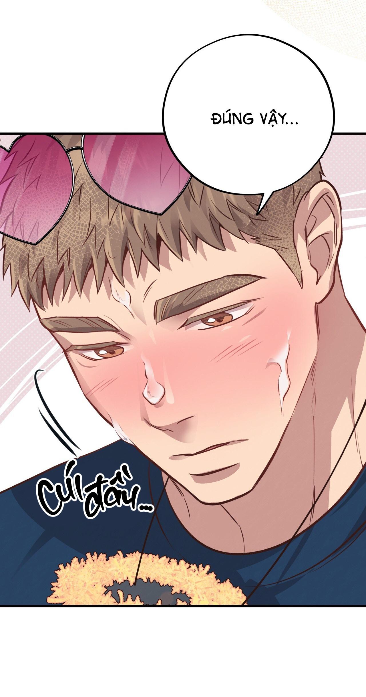 Đọc truyện (END) MẬT GẤU - Chapter 31