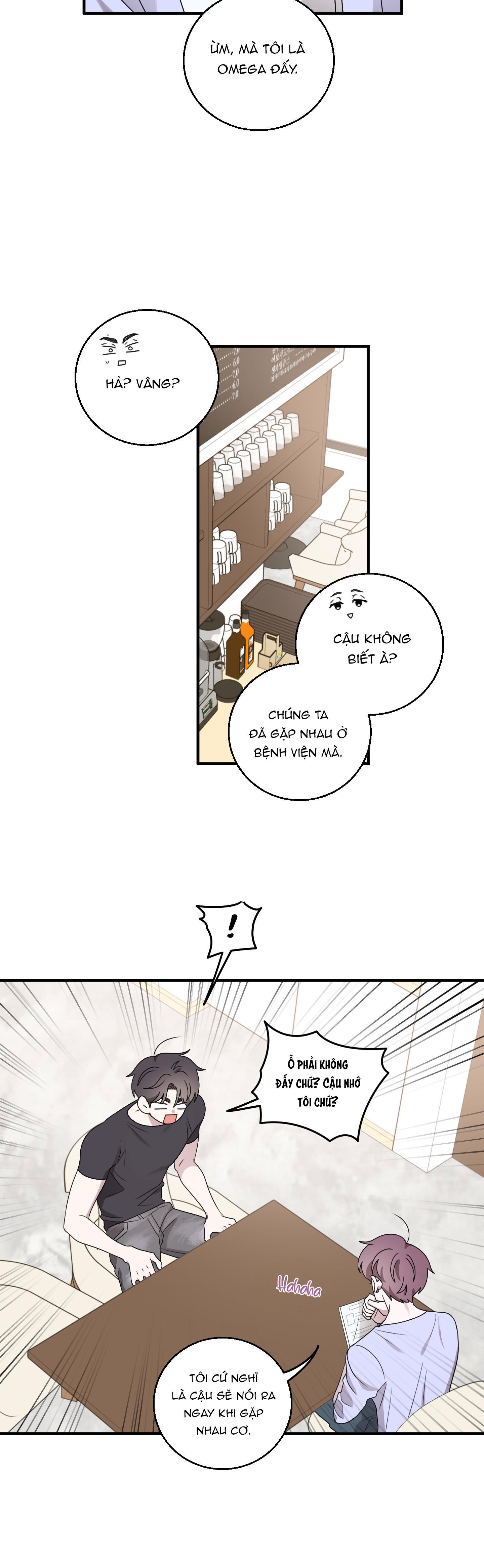 Đọc truyện CHUYỆN TÌNH ALPHA - Chapter 21
