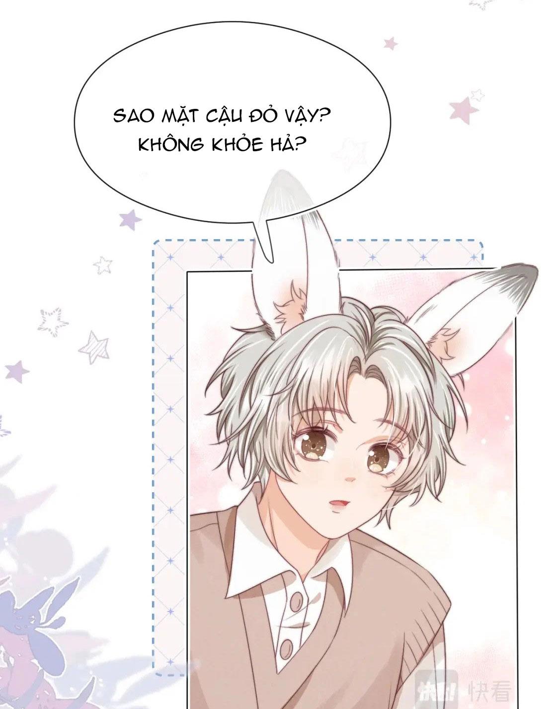 Đọc truyện Ss2 Một ngụm ăn cả thỏ con - Chapter 40