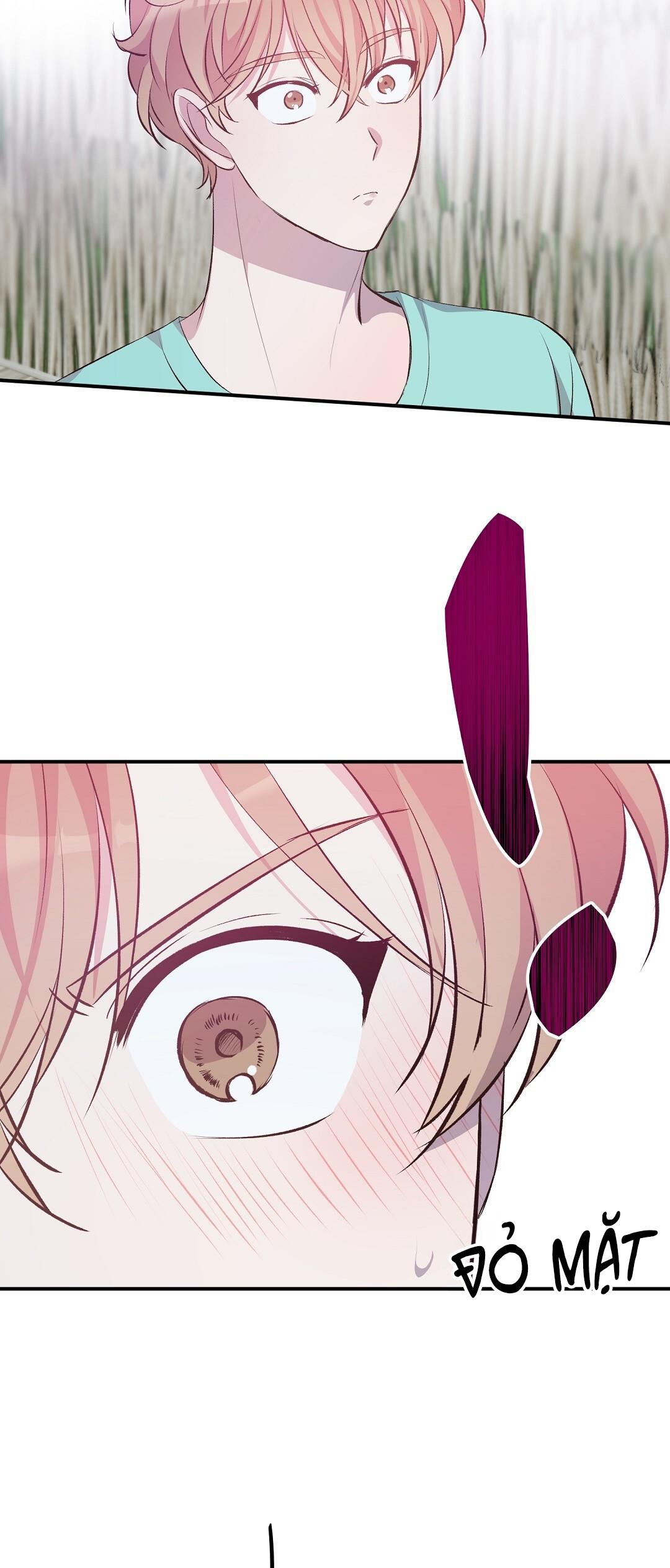 Đọc truyện CHUYỆN TÌNH ĐẢO HOANG - Chapter 23