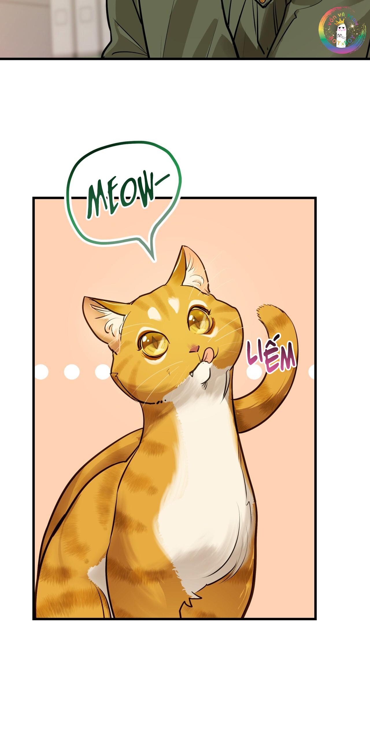 Đọc truyện [DROP] Người Lạ Trong Gương - Chapter 13