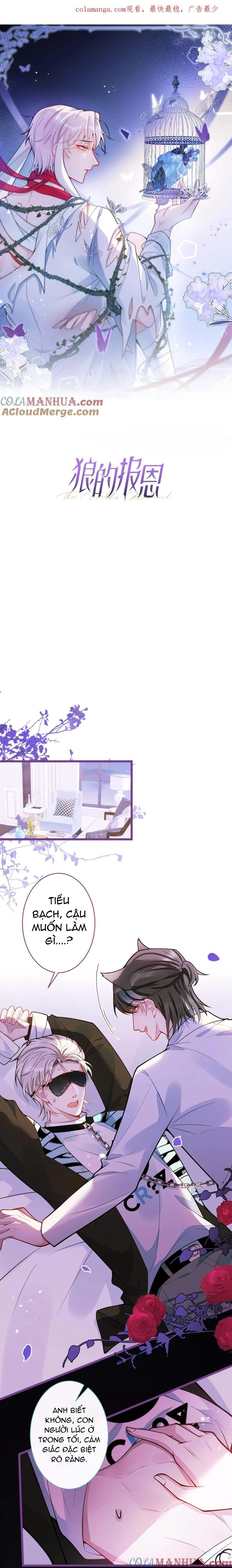 Đọc truyện Sói Báo Ơn (END) - Chapter 45