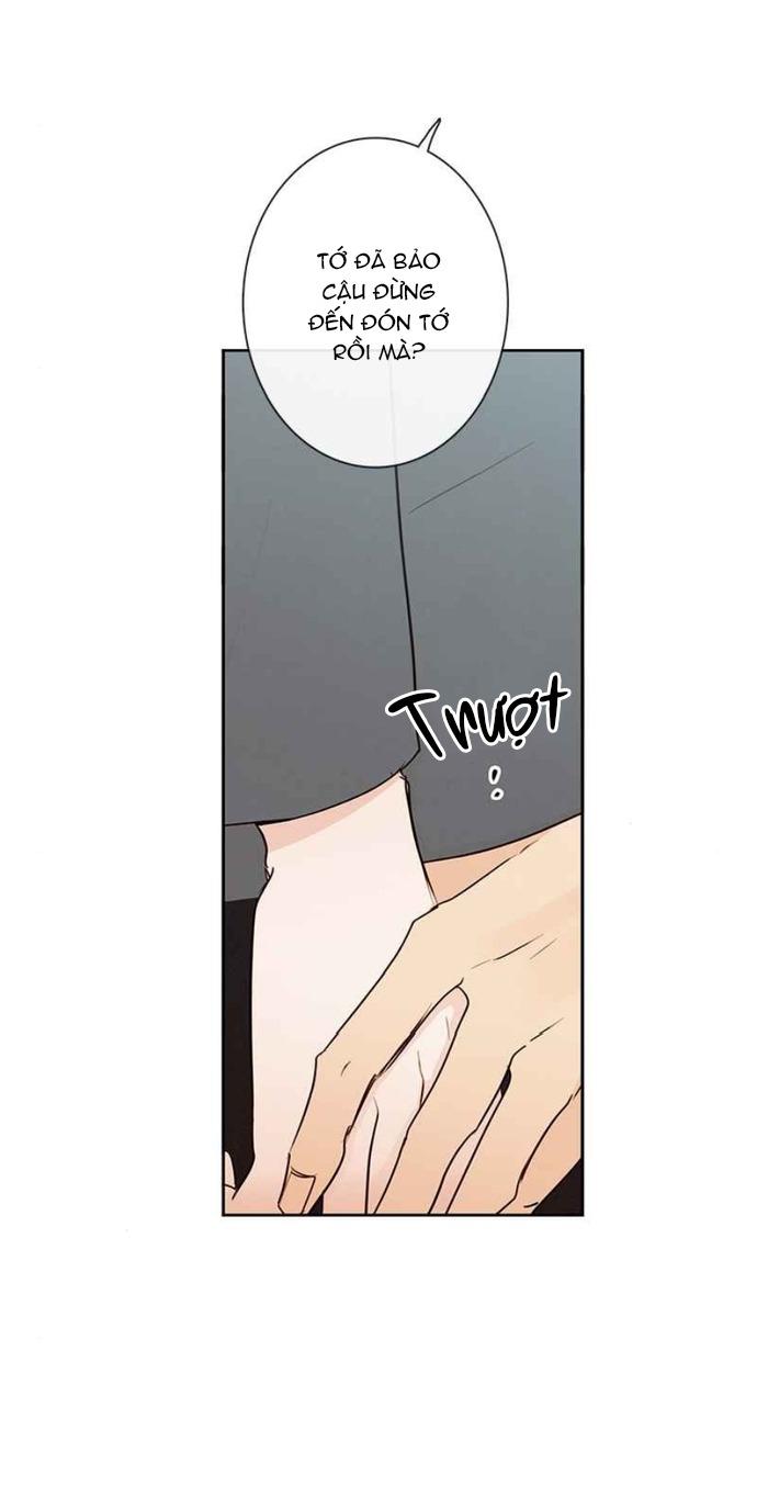 Đọc truyện Thiên Đường Táo Xanh - Chapter 86