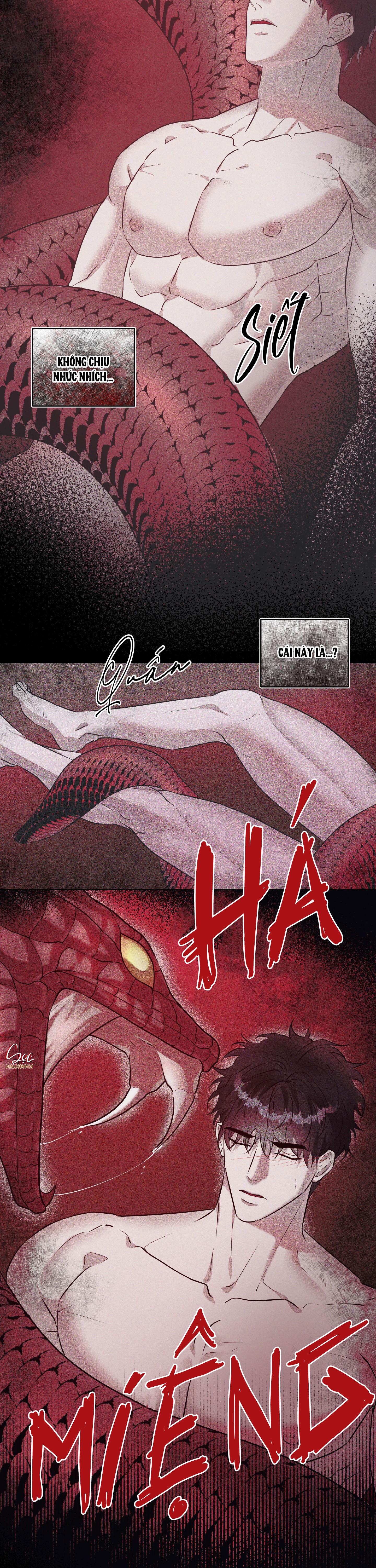 Đọc truyện VỰC RẮN - Chapter 1