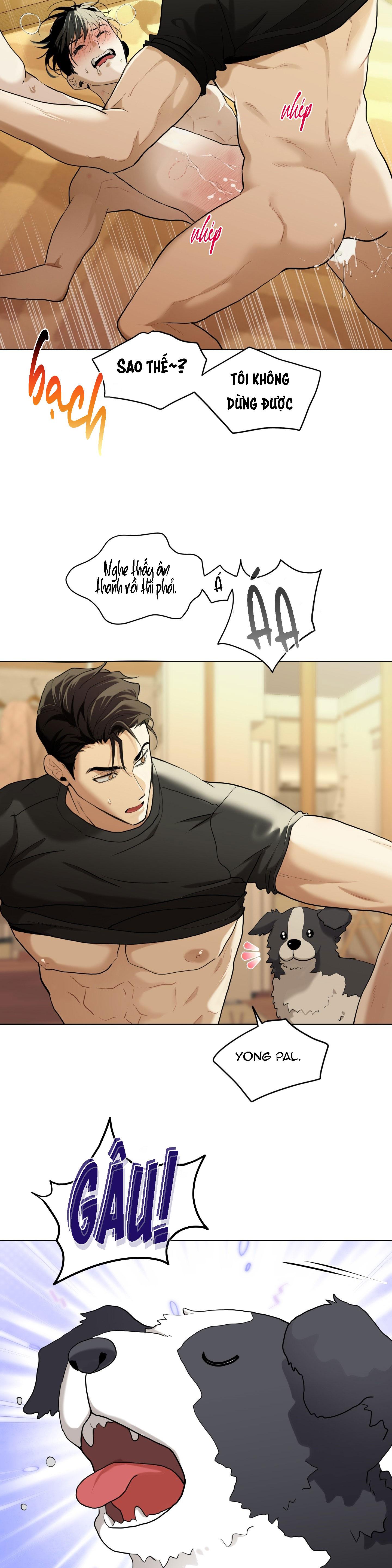 Đọc truyện TÌNH YÊU LÔNG CHÓ - Chapter 10