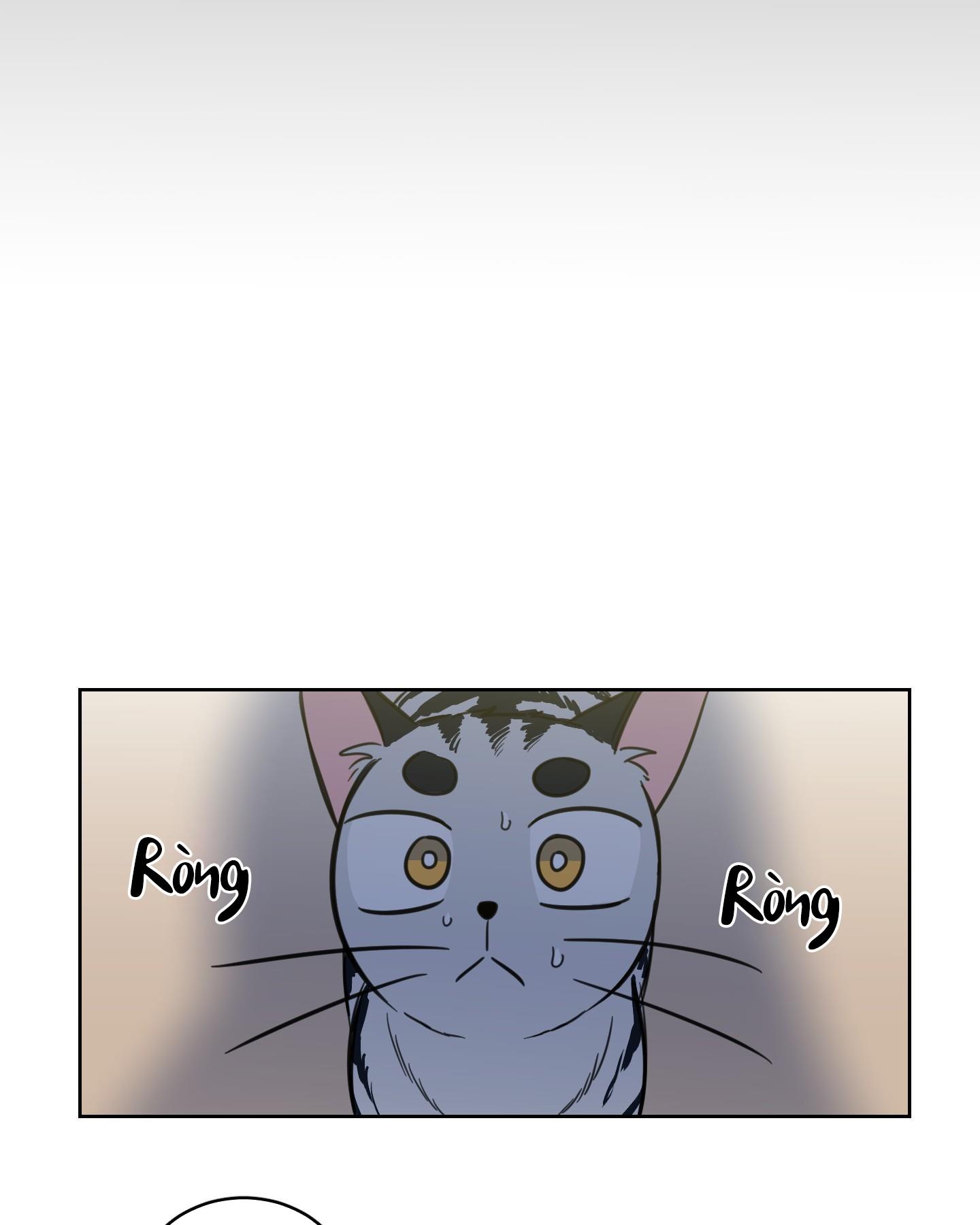 Đọc truyện Mẹo Thuần Hóa Hổ - Chapter 41