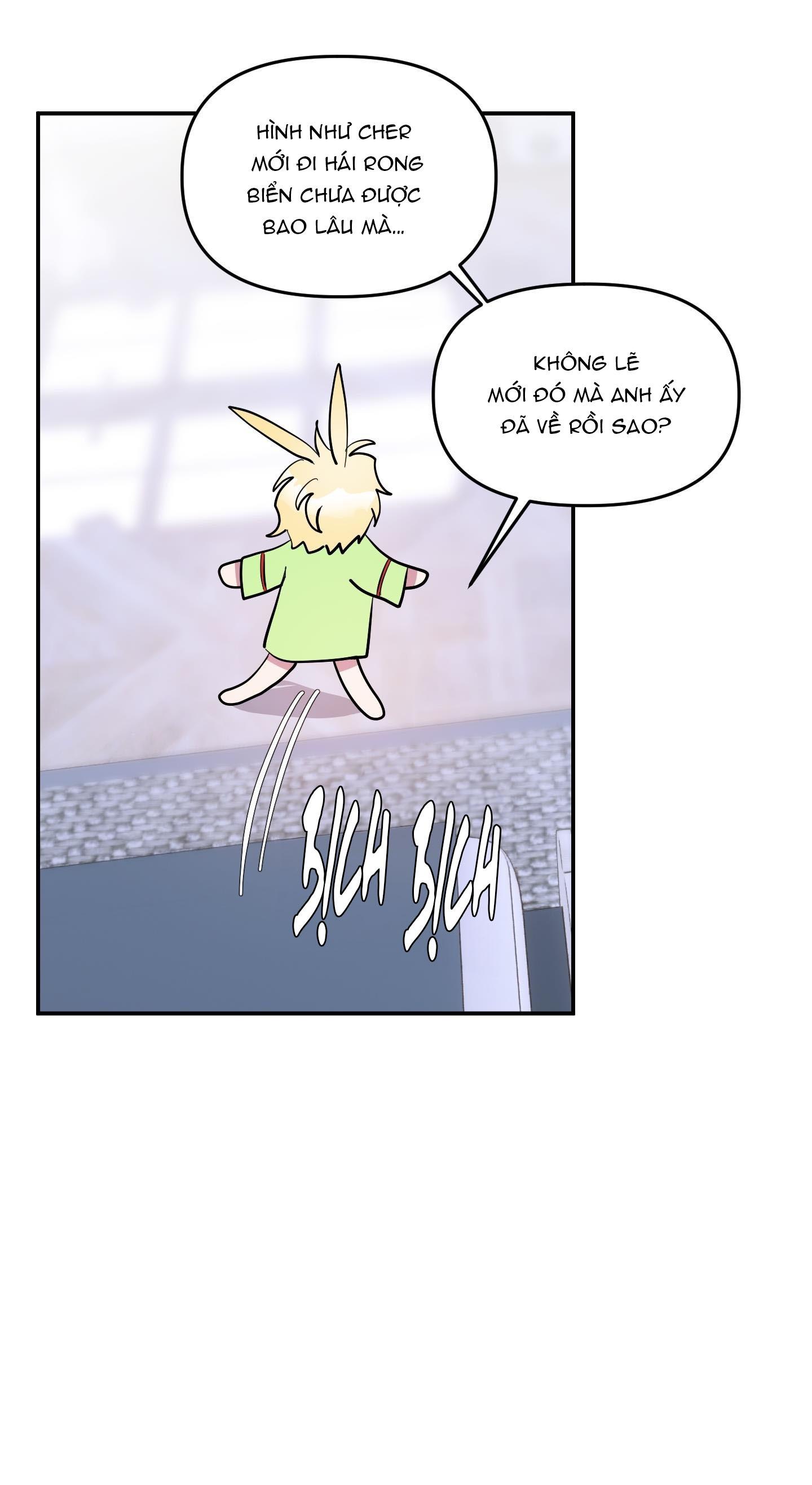 Đọc truyện CÁ MẬP VÀ CÔ DÂU THỎ - Chapter 37