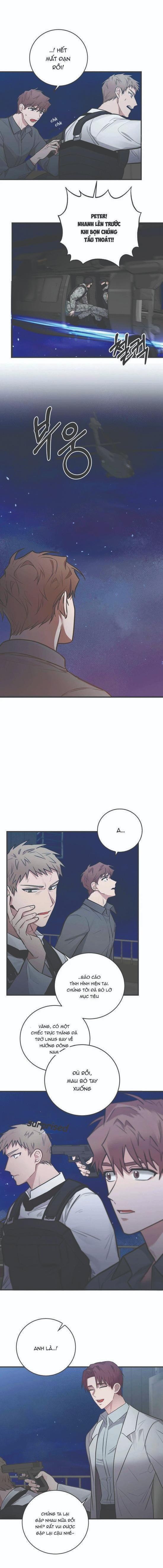 Đọc truyện Phản Diện Đều Là Những Kẻ Ngu Ngốc - Chapter 9