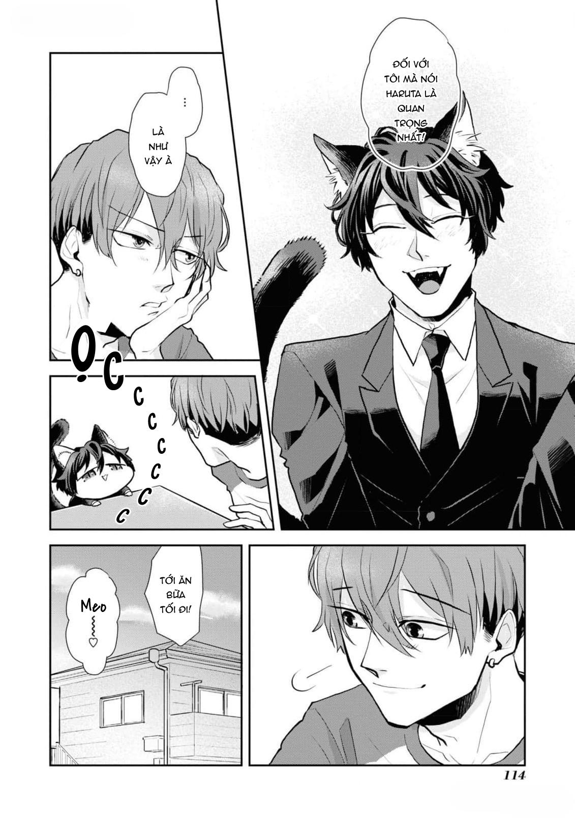 Đọc truyện Chú mèo đẹp trai muốn được Haruta nuôi dưỡng - Chapter 6