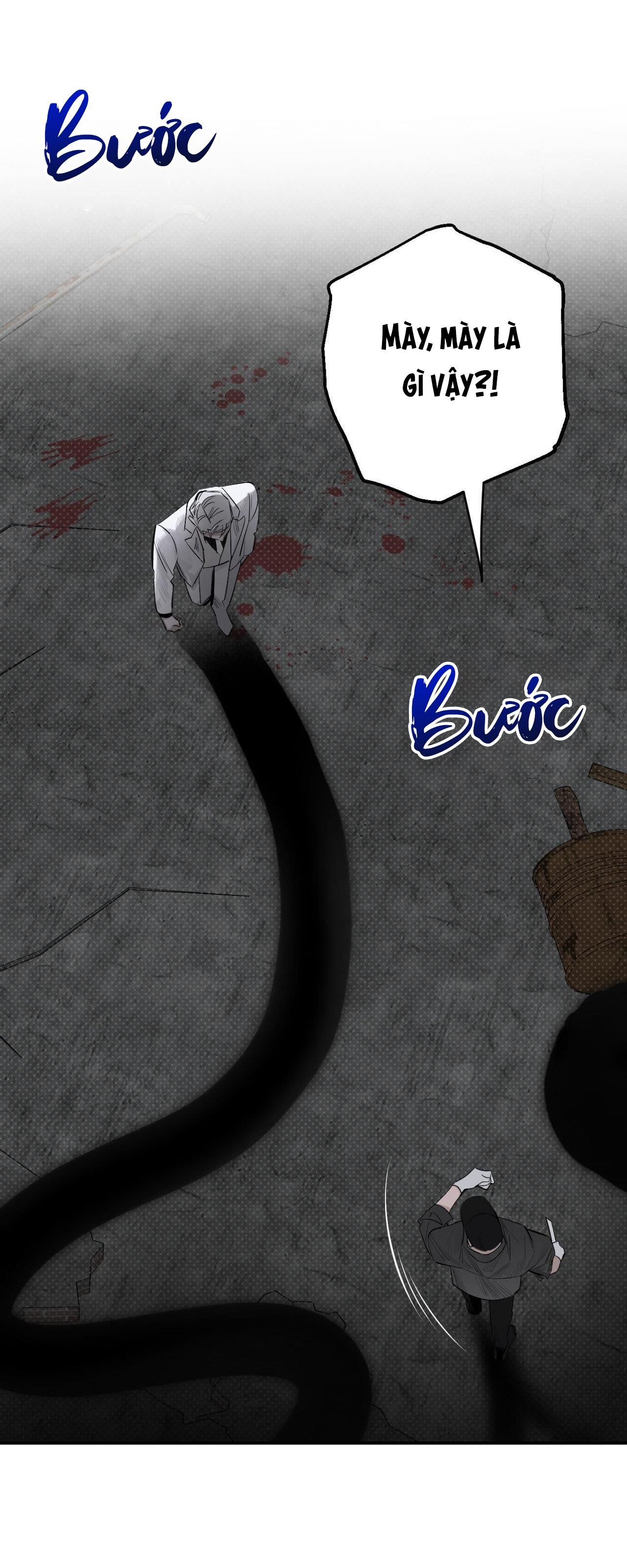 Đọc truyện BÓNG RẮN DƯỚI ÁNH TRĂNG - Chapter 11