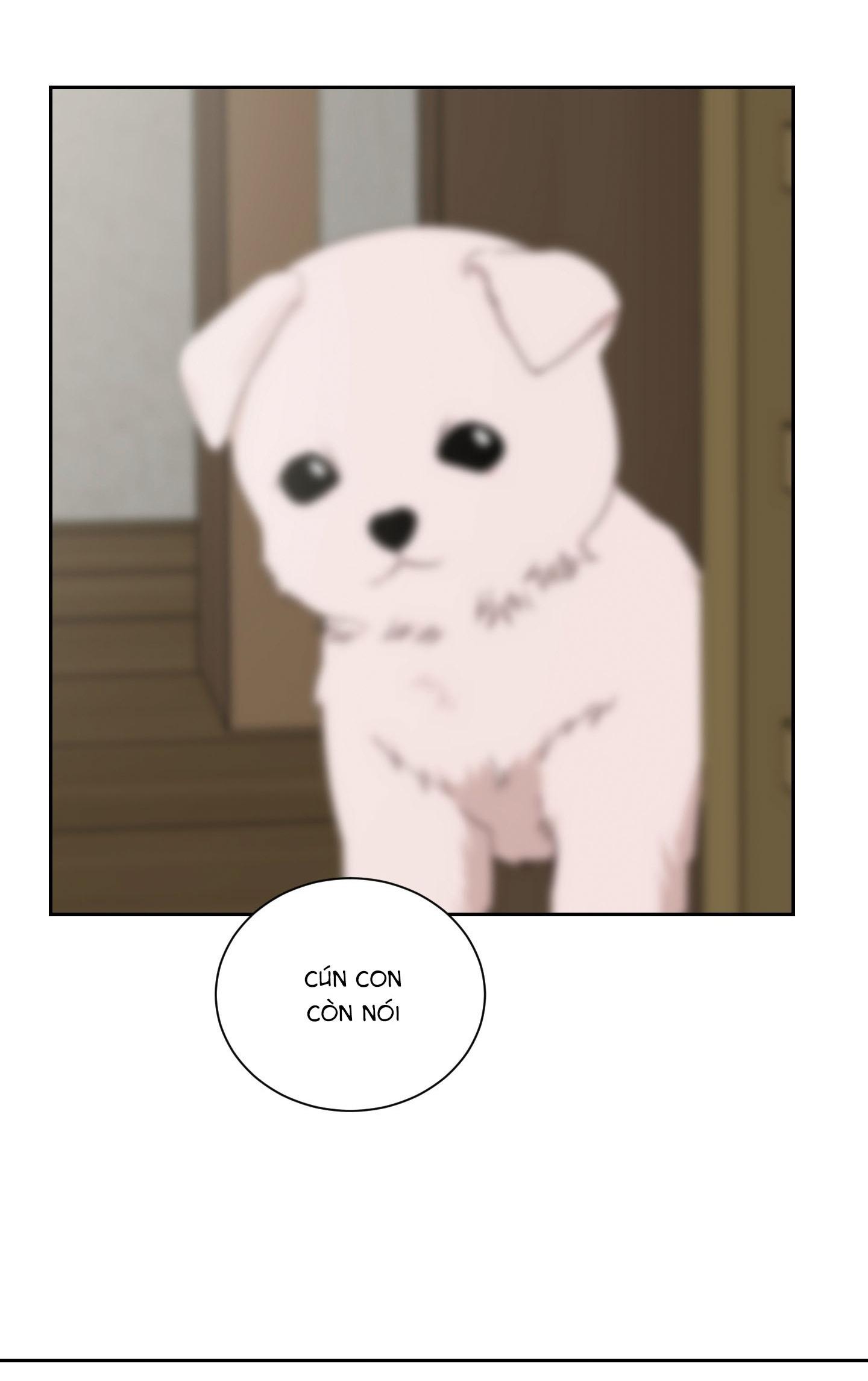 Đọc truyện Điểm dừng chân cuối cùng - Chapter 62
