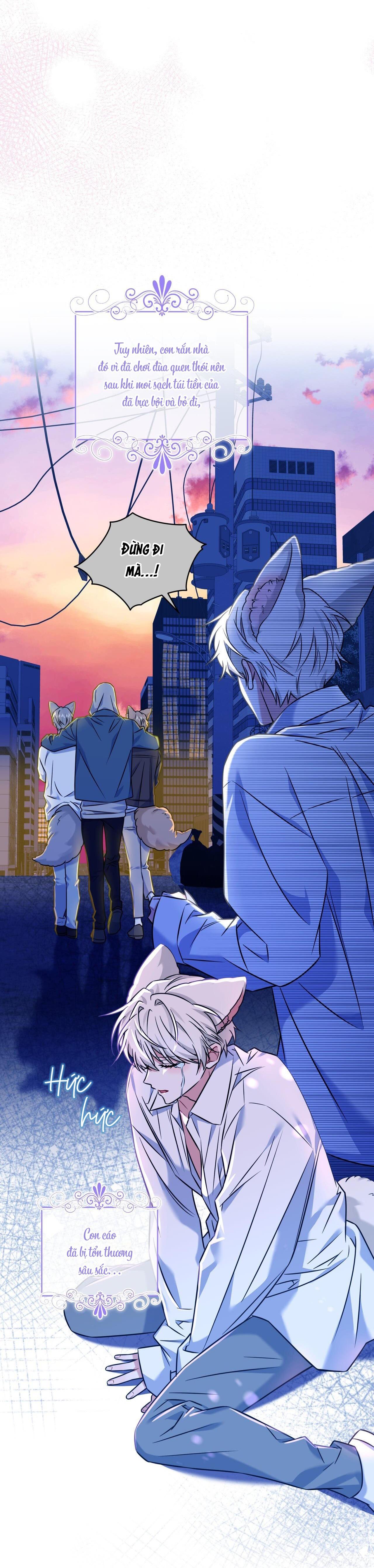 Đọc truyện |DROP| Tiệm đồ uống của cáo Flynn - Chapter 12