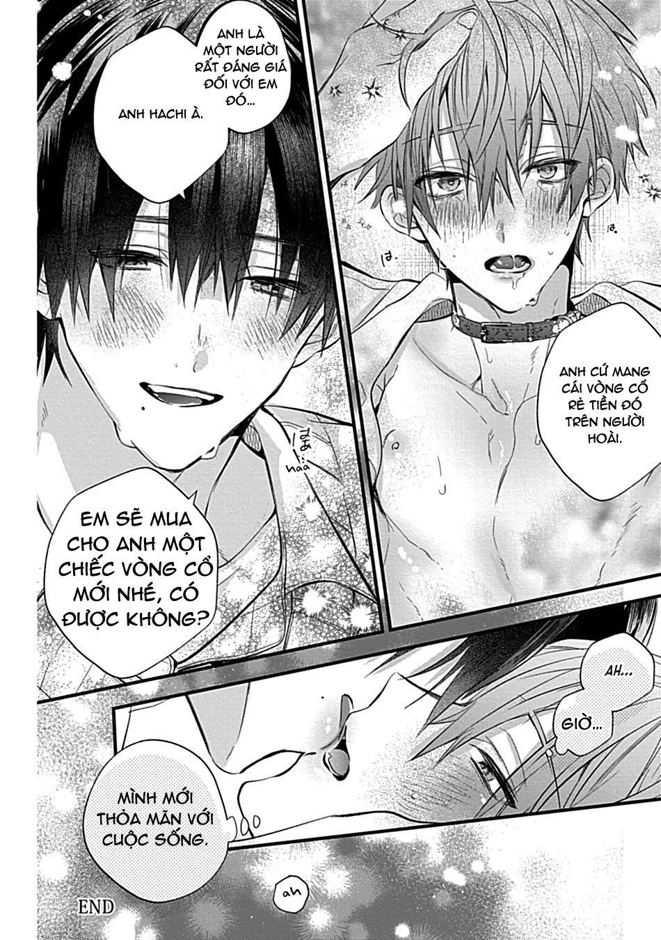 Đọc truyện Ở đây có yaoi hơi bị choáy - Chapter 107