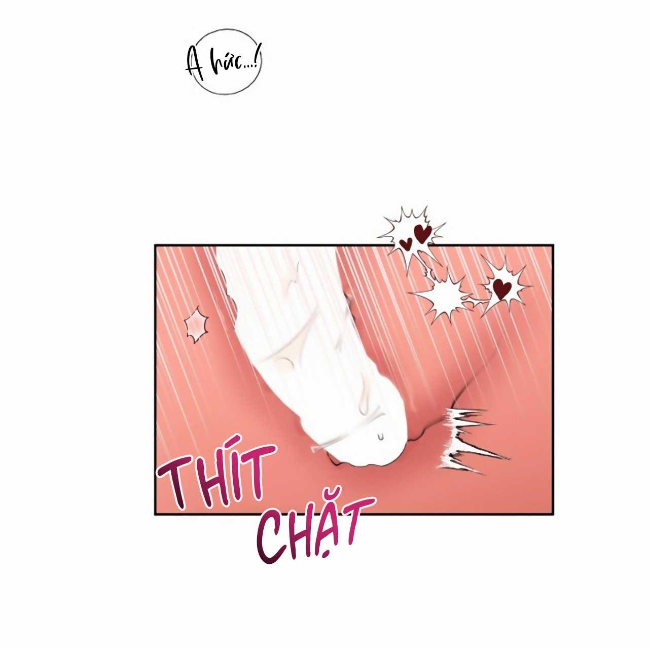 Đọc truyện SÓI GIÀ VÀ CÁO NHỎ - Chapter 2