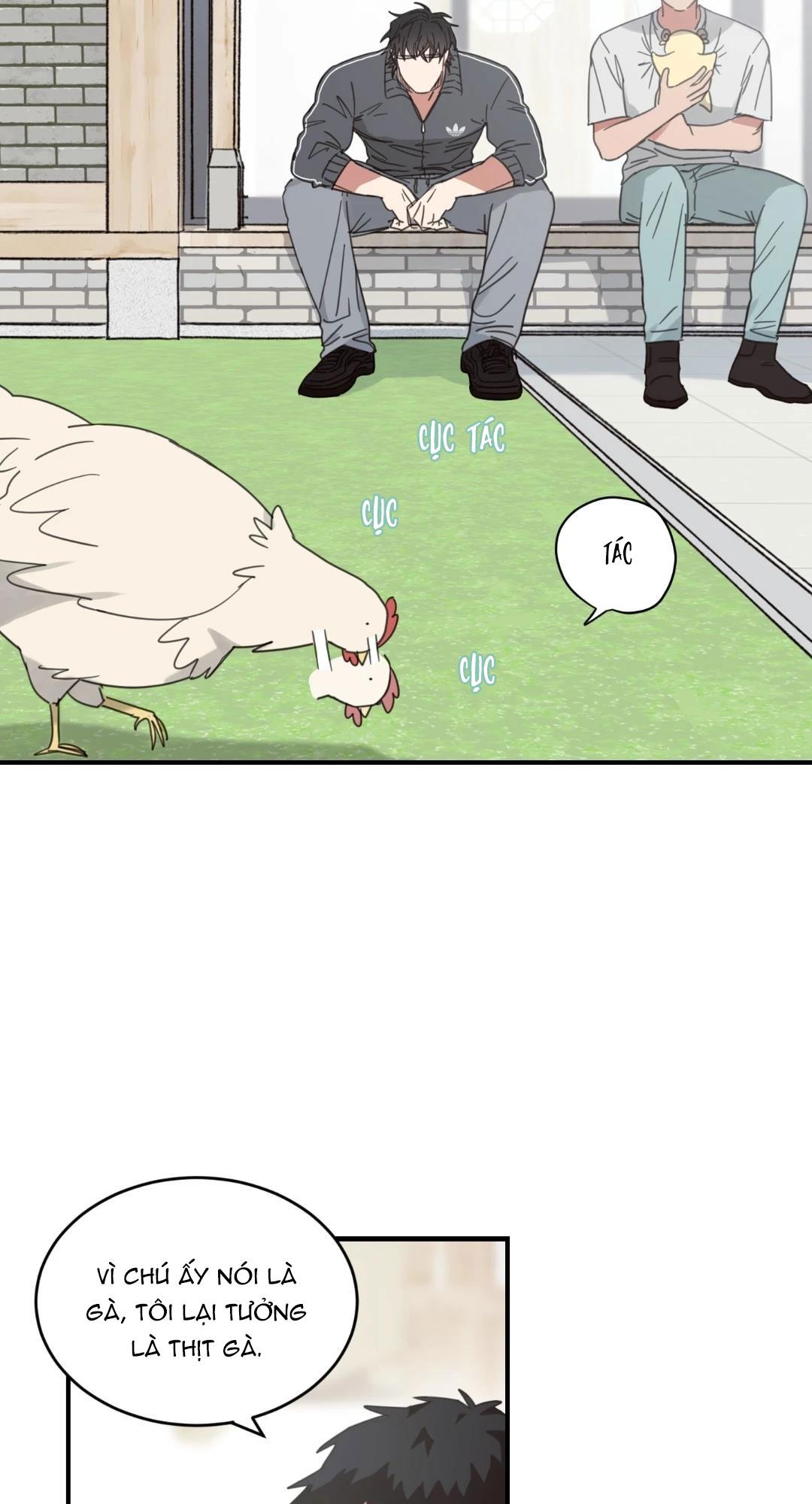 Đọc truyện NGÔI NHÀ HƯỚNG MẶT TRỜI MỌC - Chapter 19